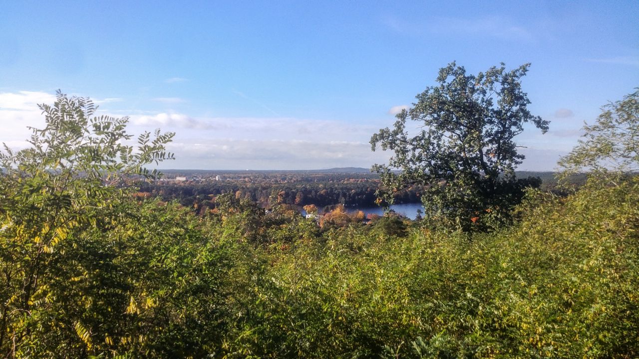 20231101_111603.jpg
