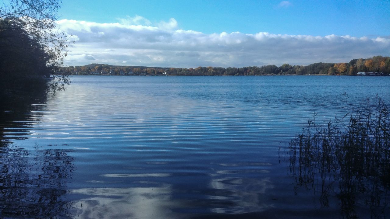 20231101_113727.jpg