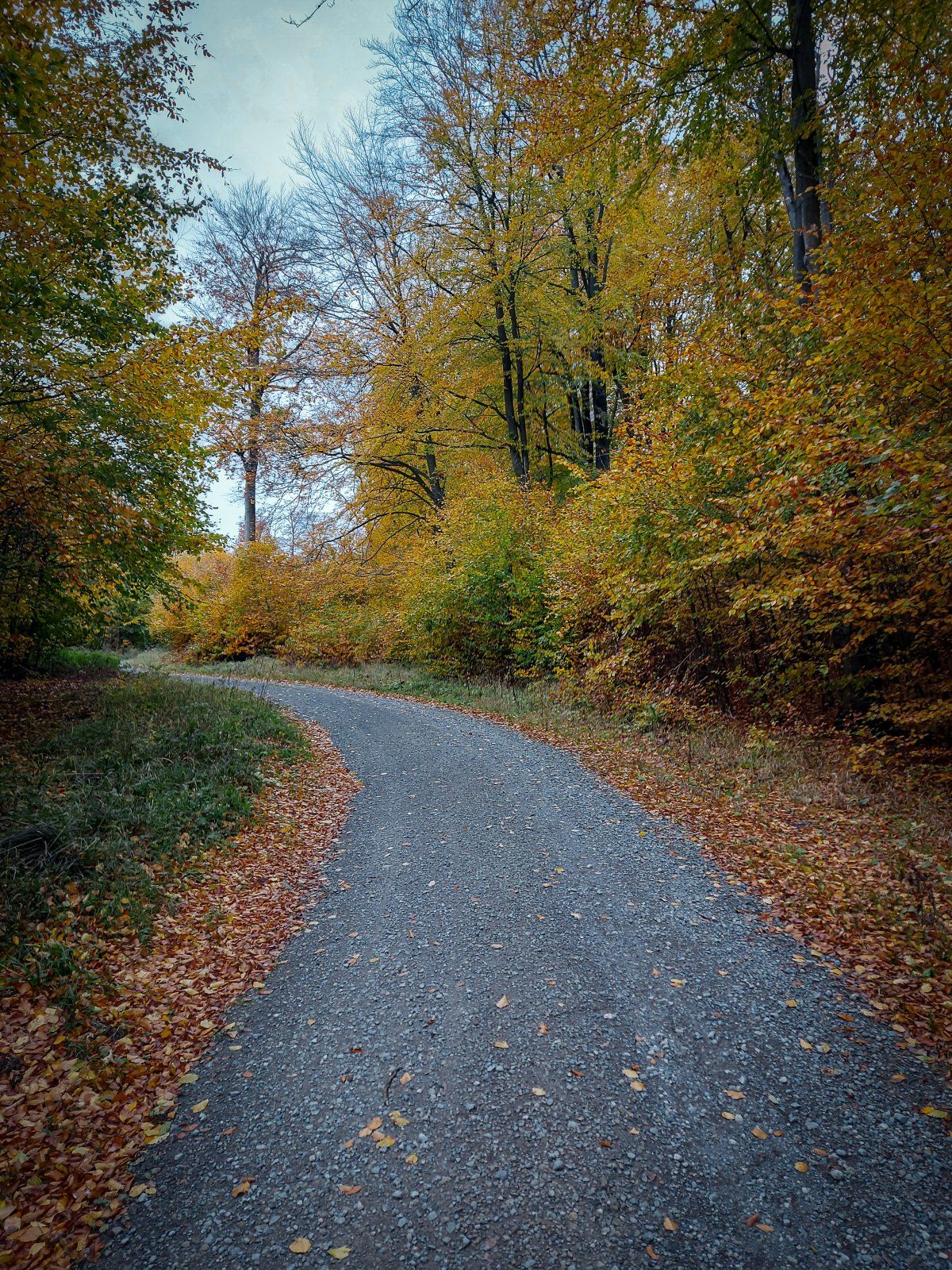 20231104_143453.jpg