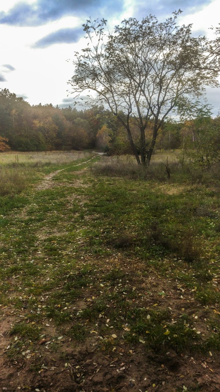 20231105_142937.jpg