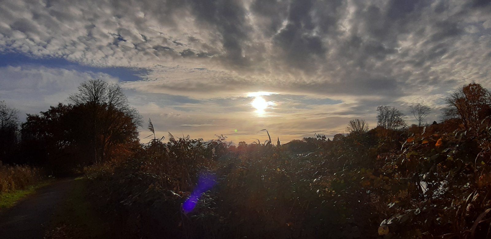 20231110_090207.jpg