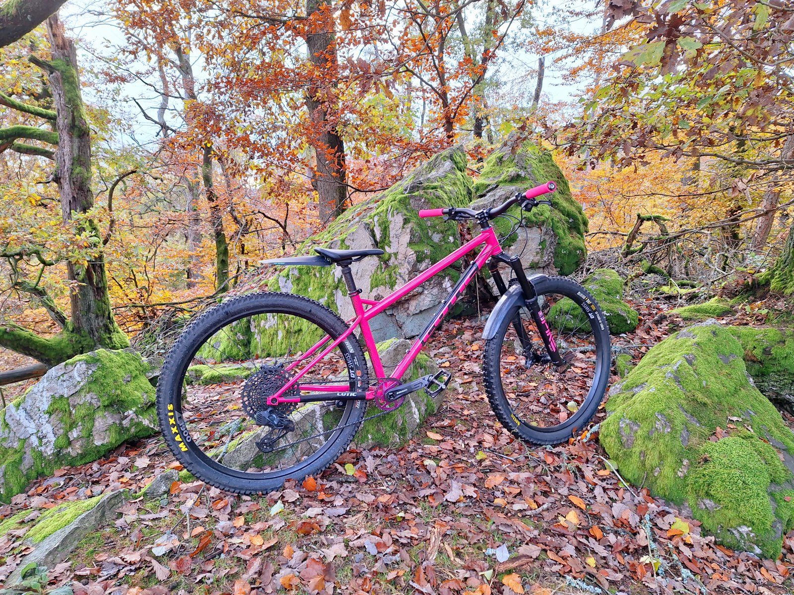 20231112_135439.jpg