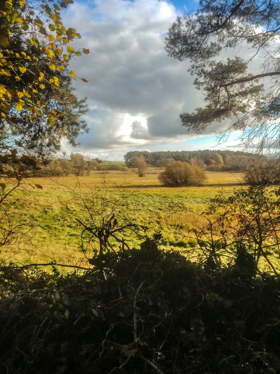 20231118_132026.jpg