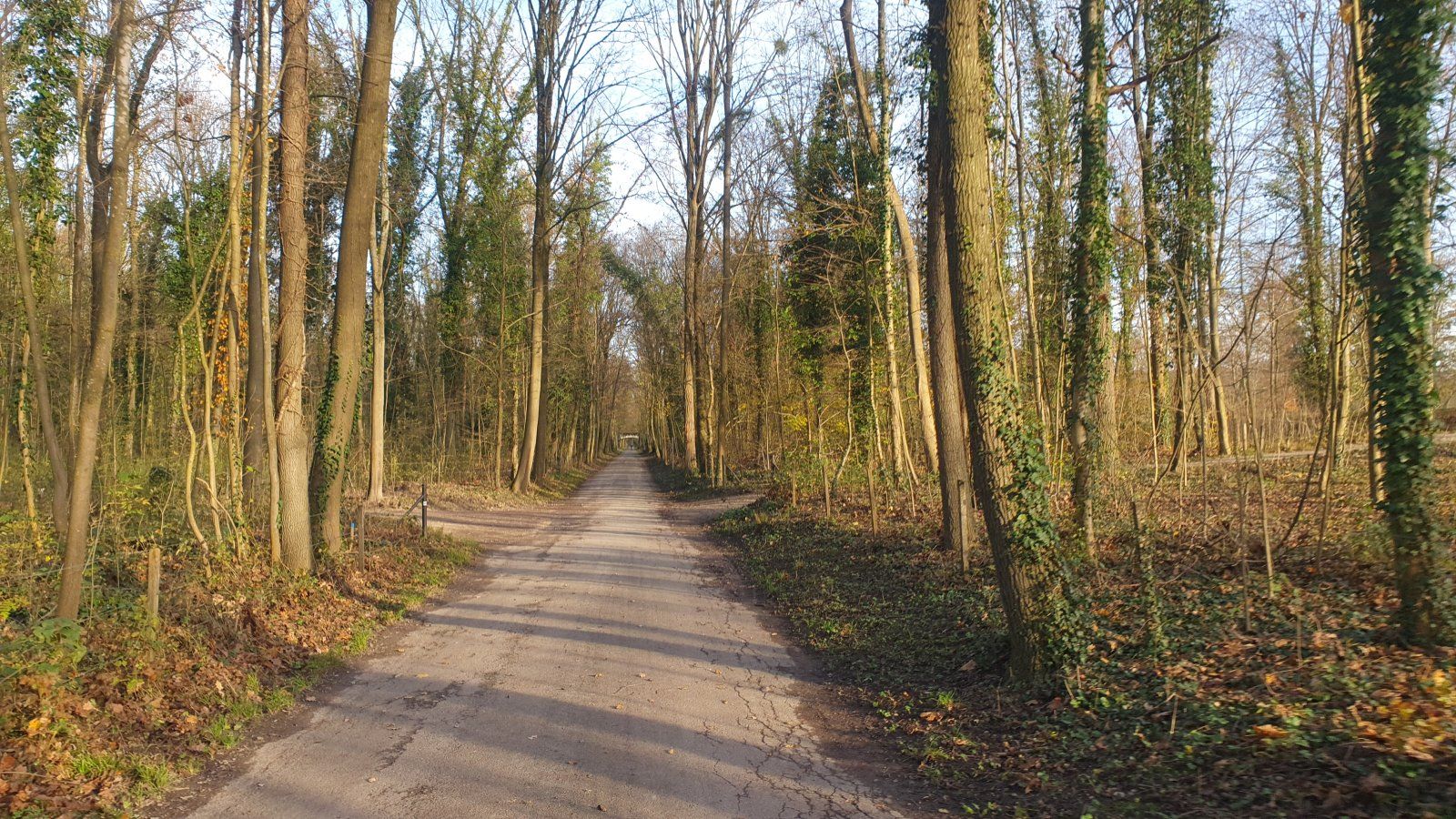 20231129_145400.jpg