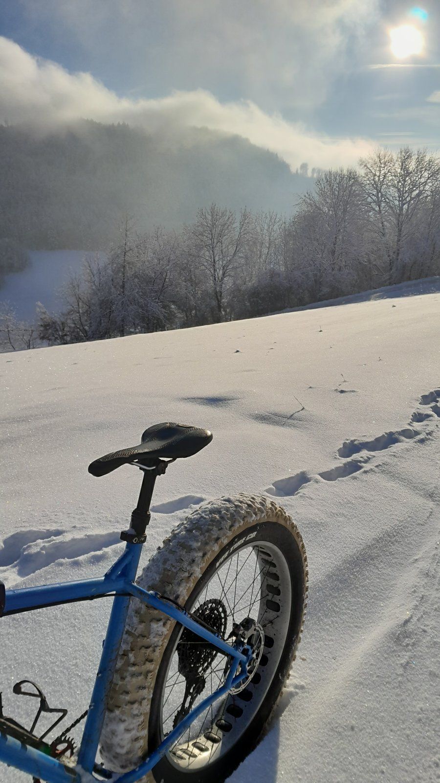 20231203_151359.jpg