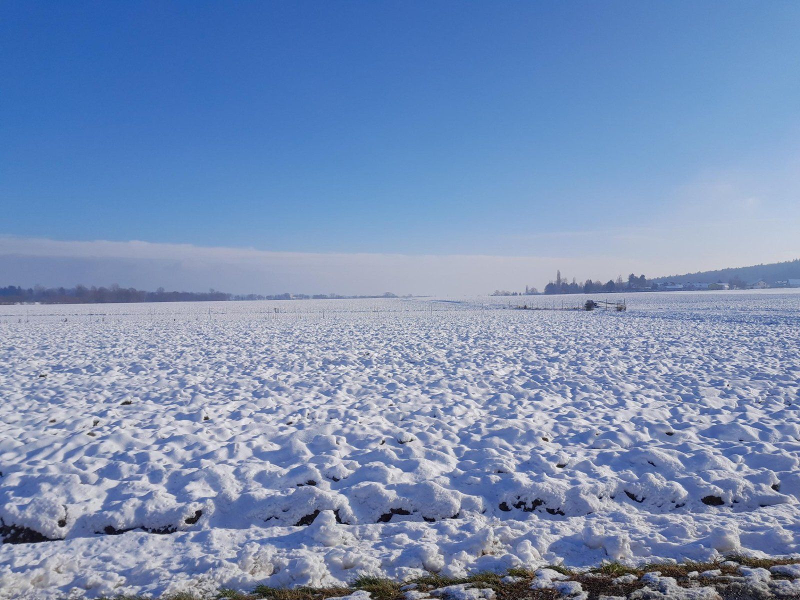 20231209_131117.jpg
