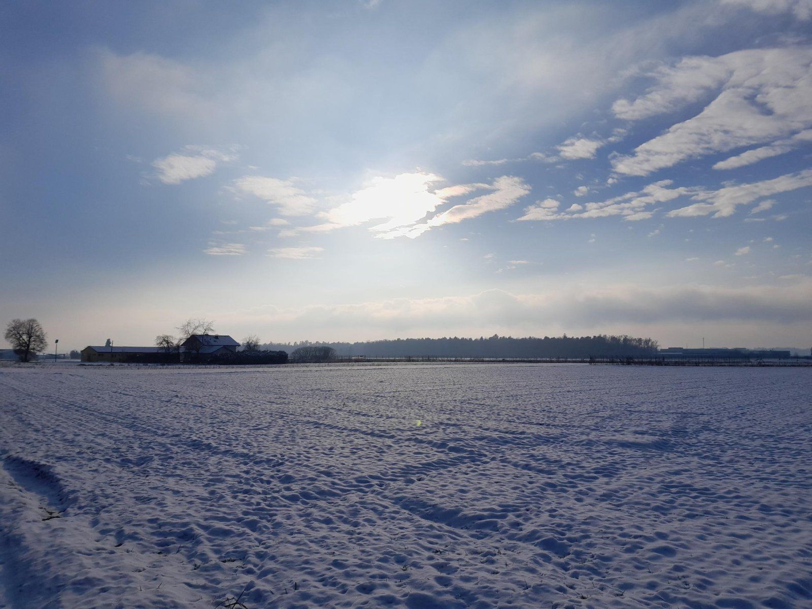 20231209_141020.jpg