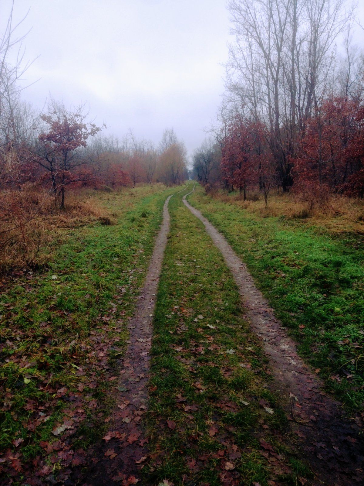 20231214_104005~2.jpg
