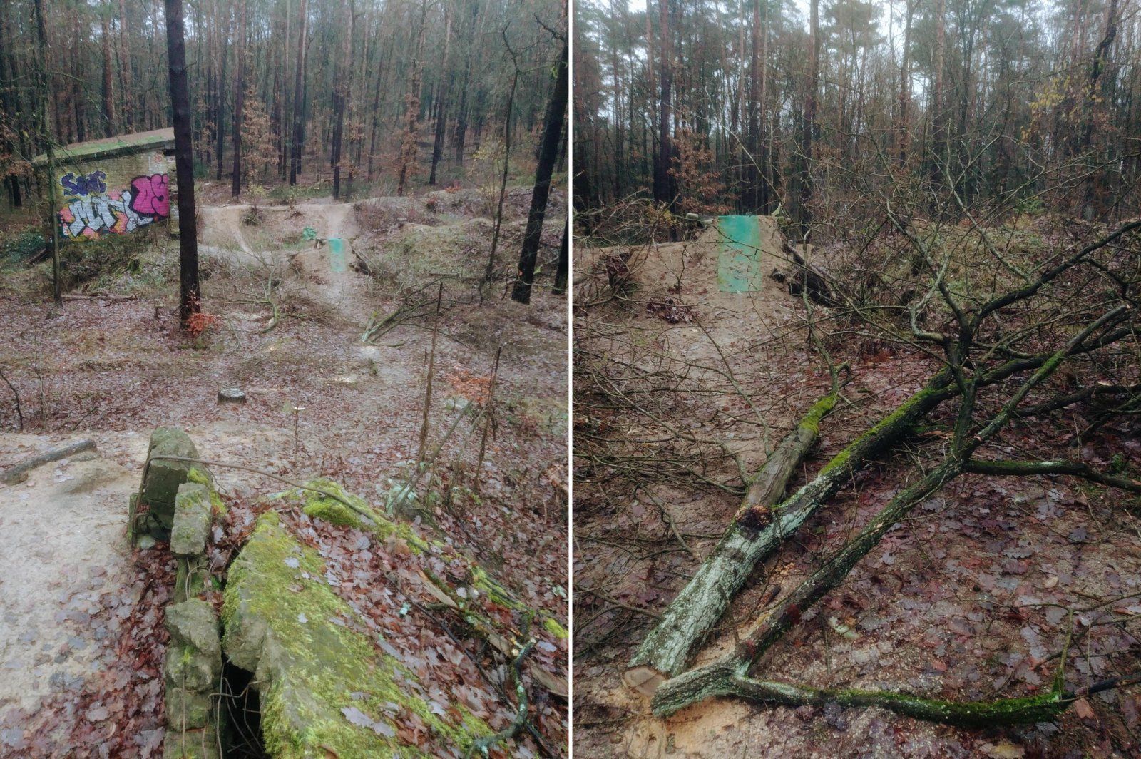 20231214_124119~2.jpg