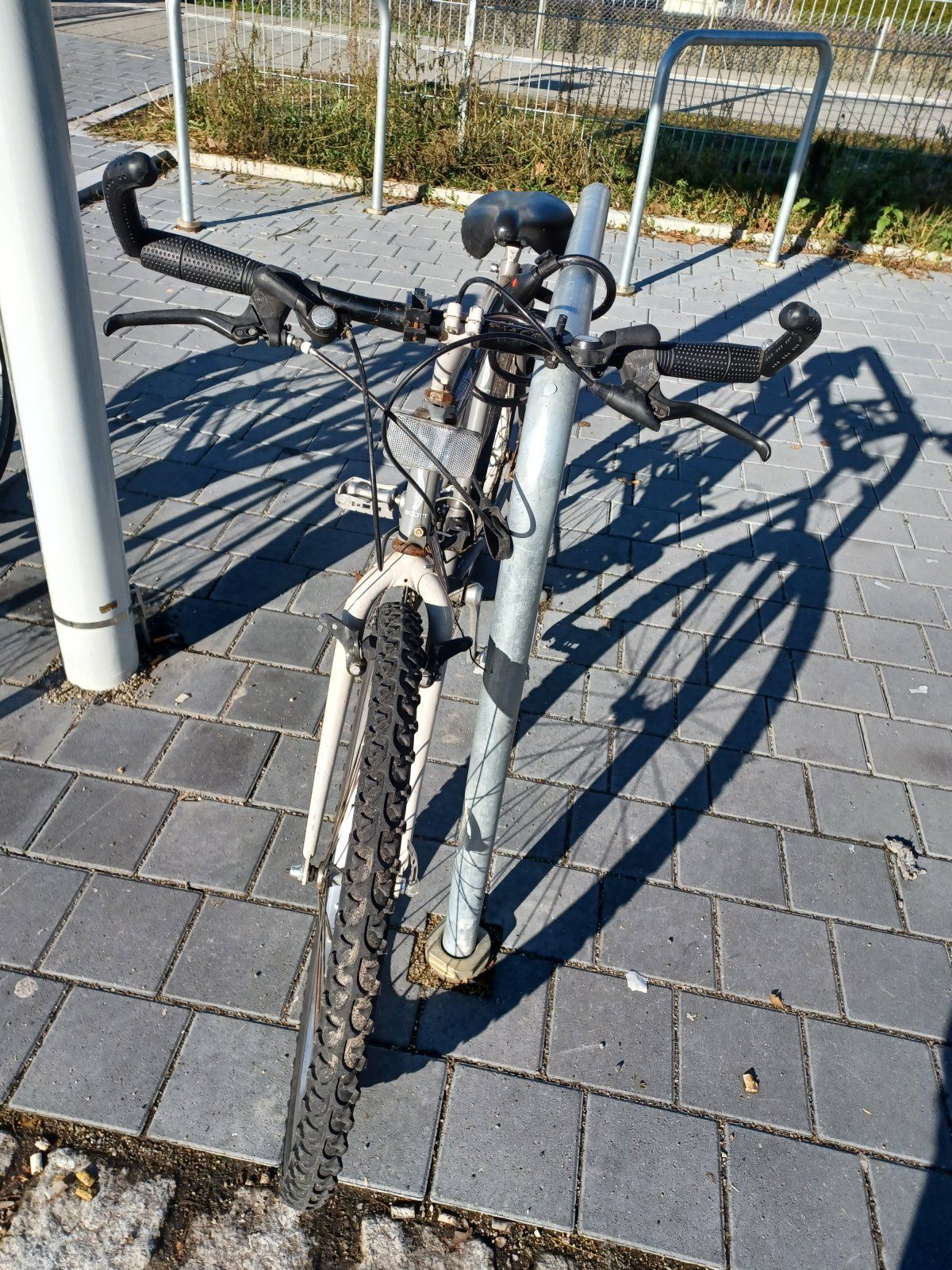 20231216_123215.jpg