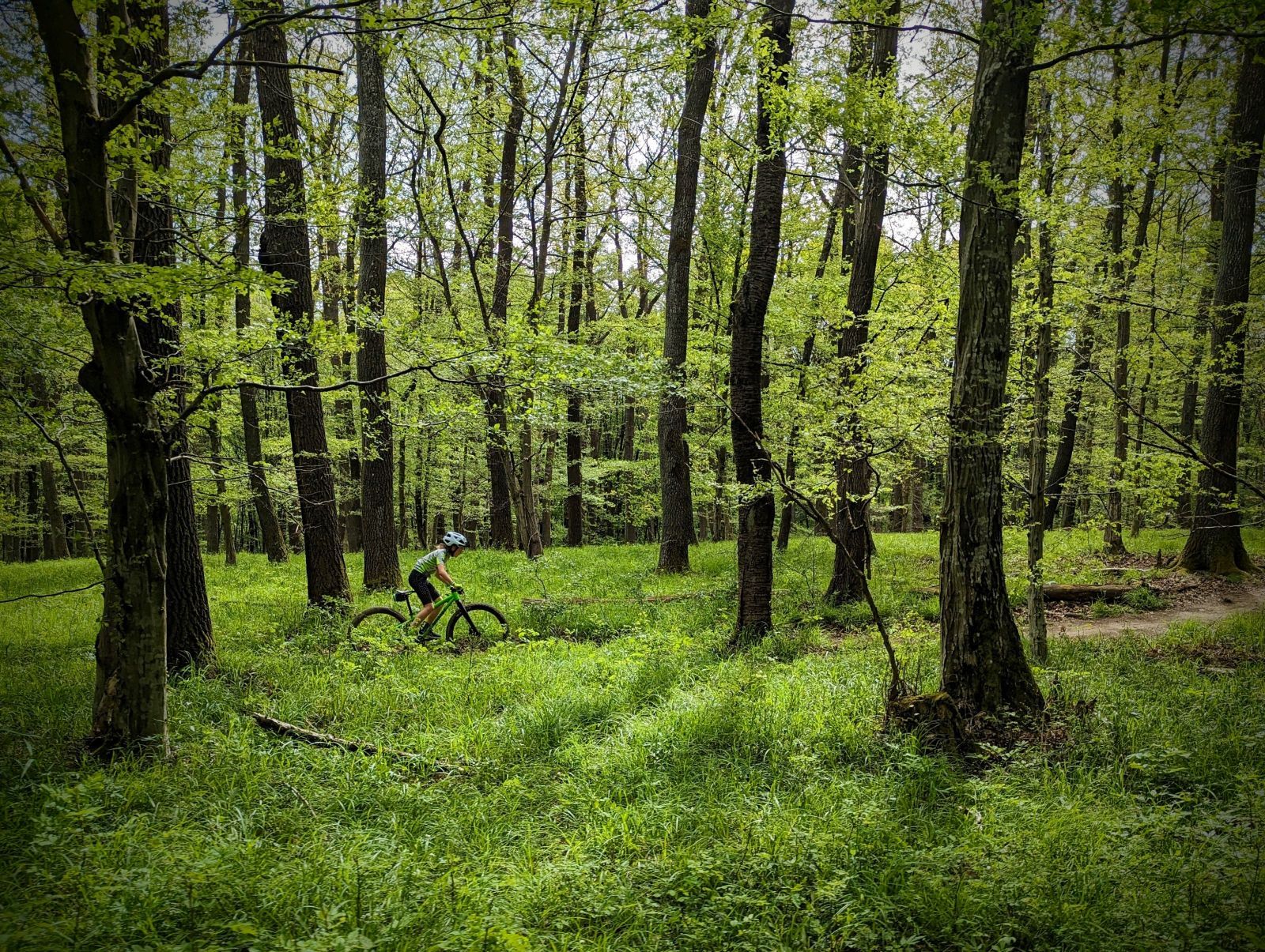 2024-04-28 14.10.33.jpg