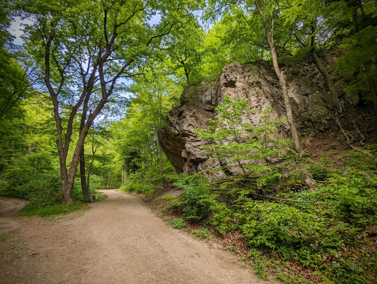 2024-04-28 15.37.05-1.jpg