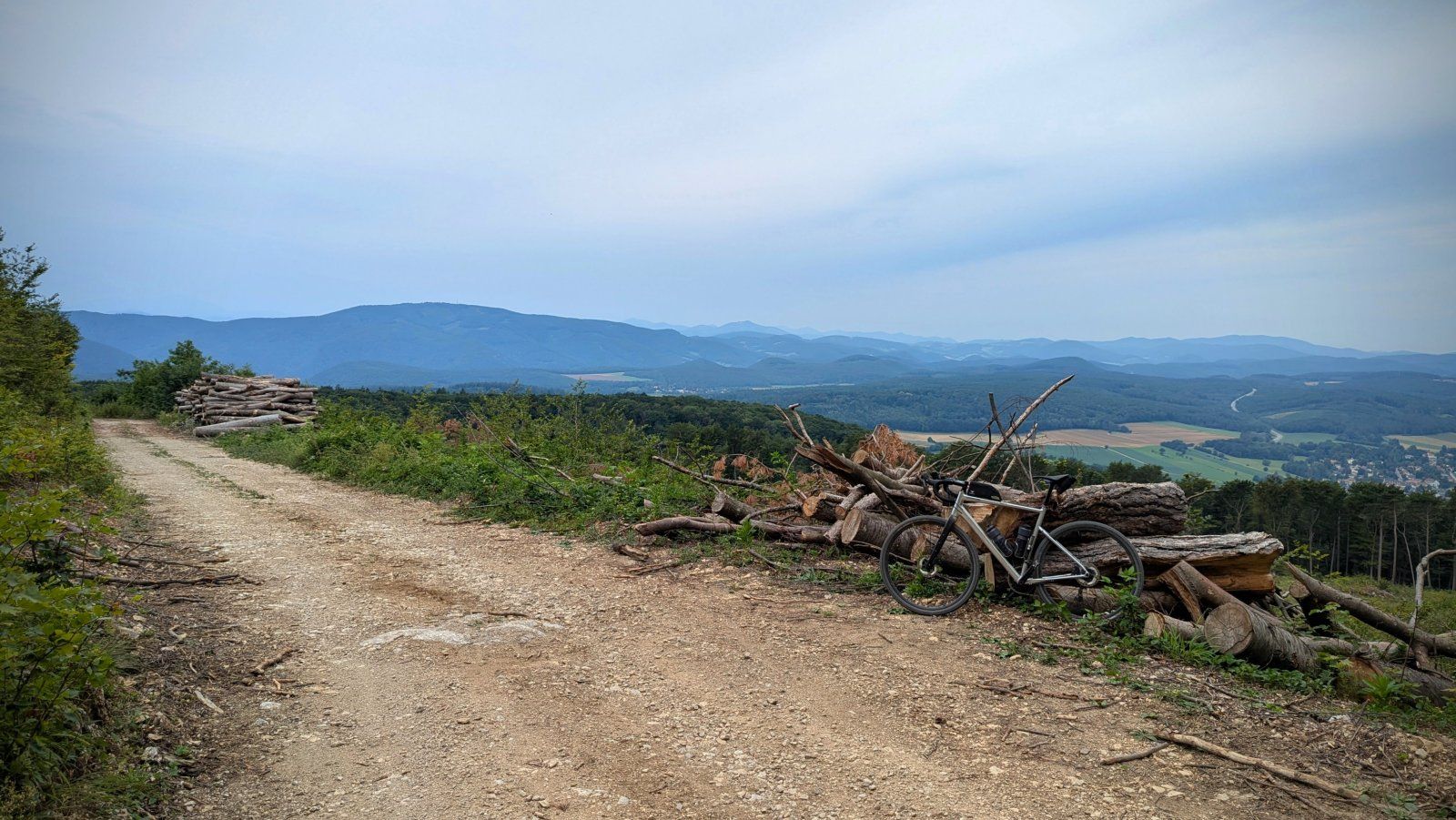 2024-07-20 10.30.13-2.jpg