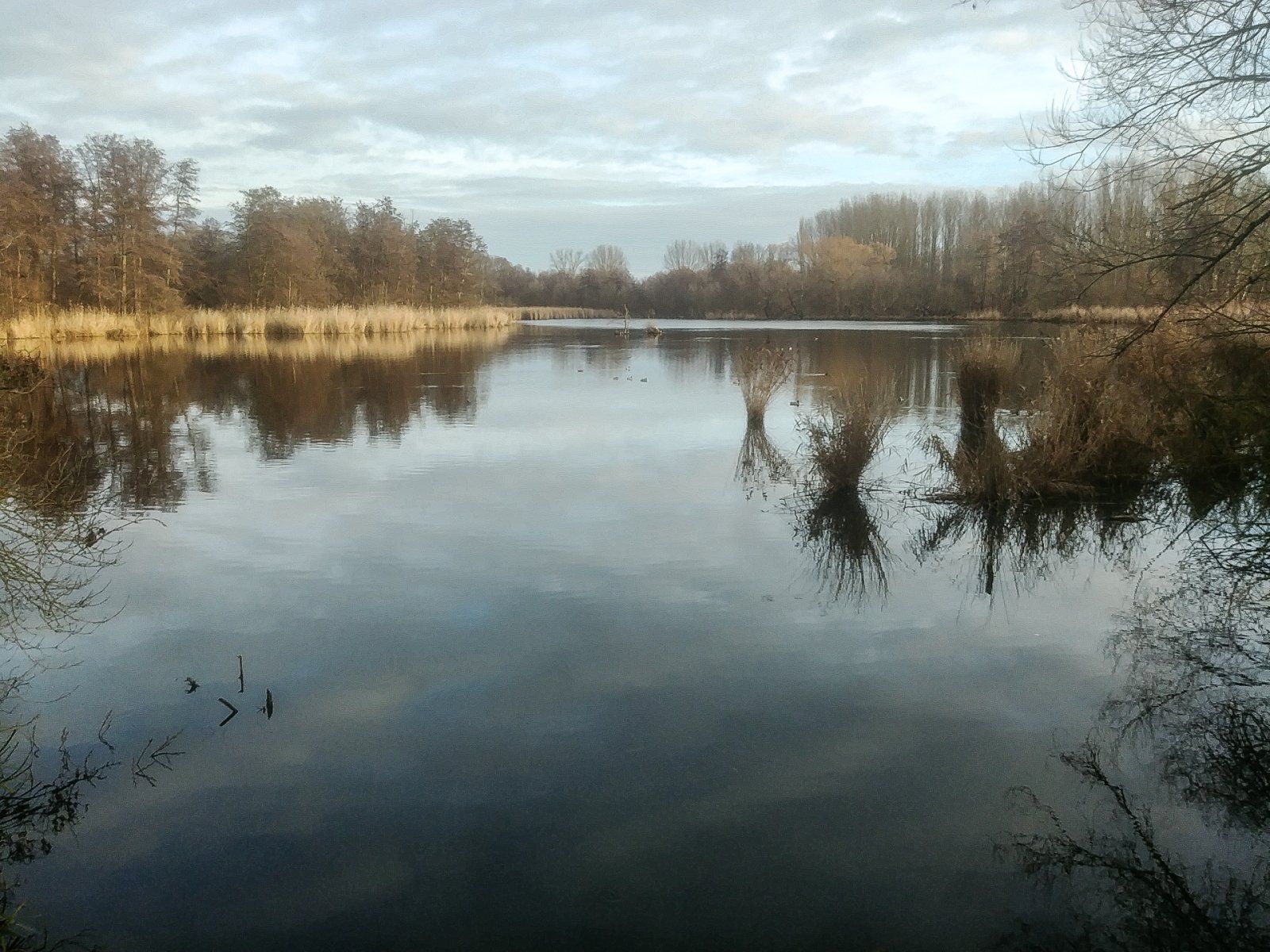 20240101_094645.jpg