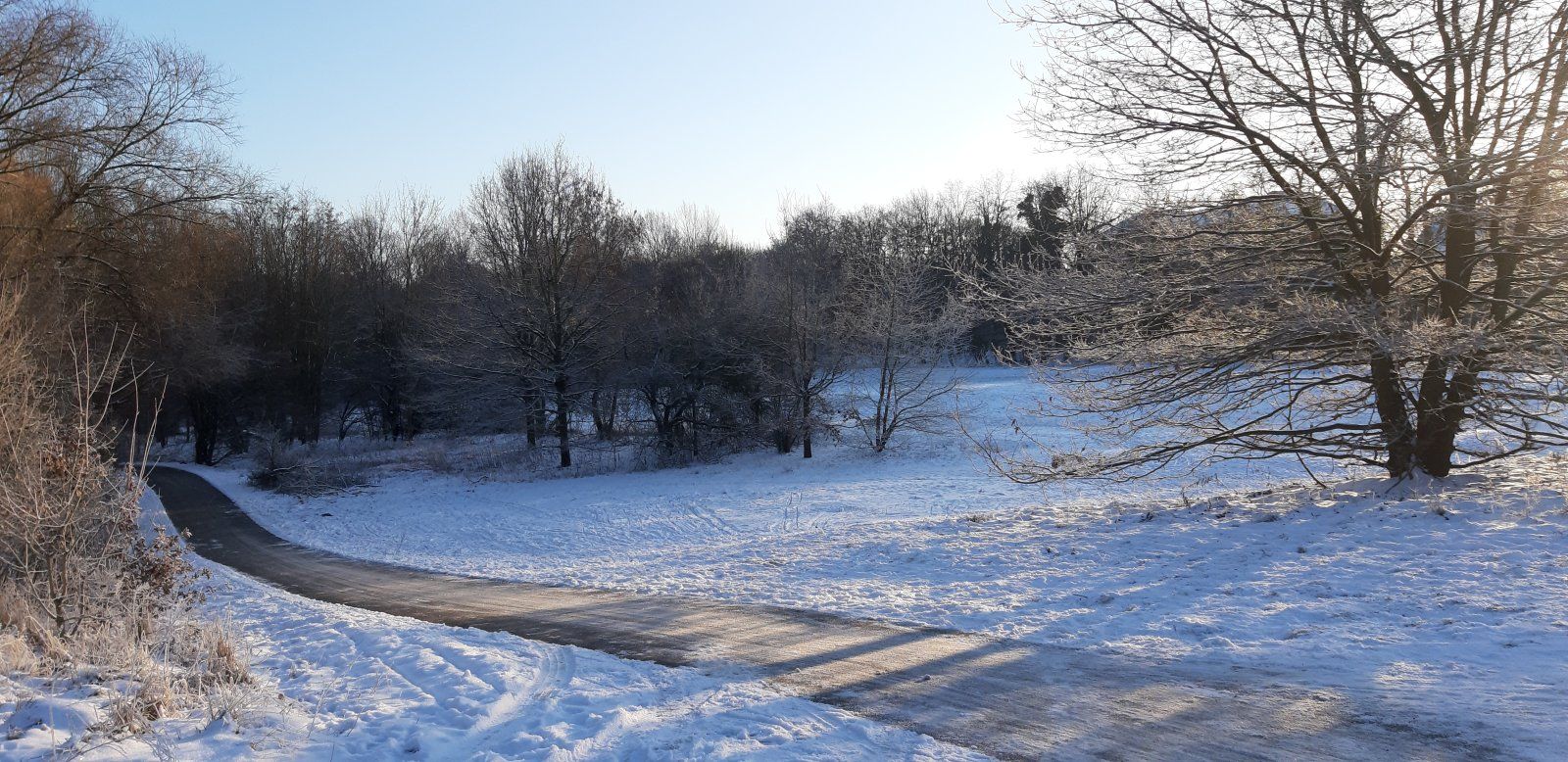 20240119_091125.jpg