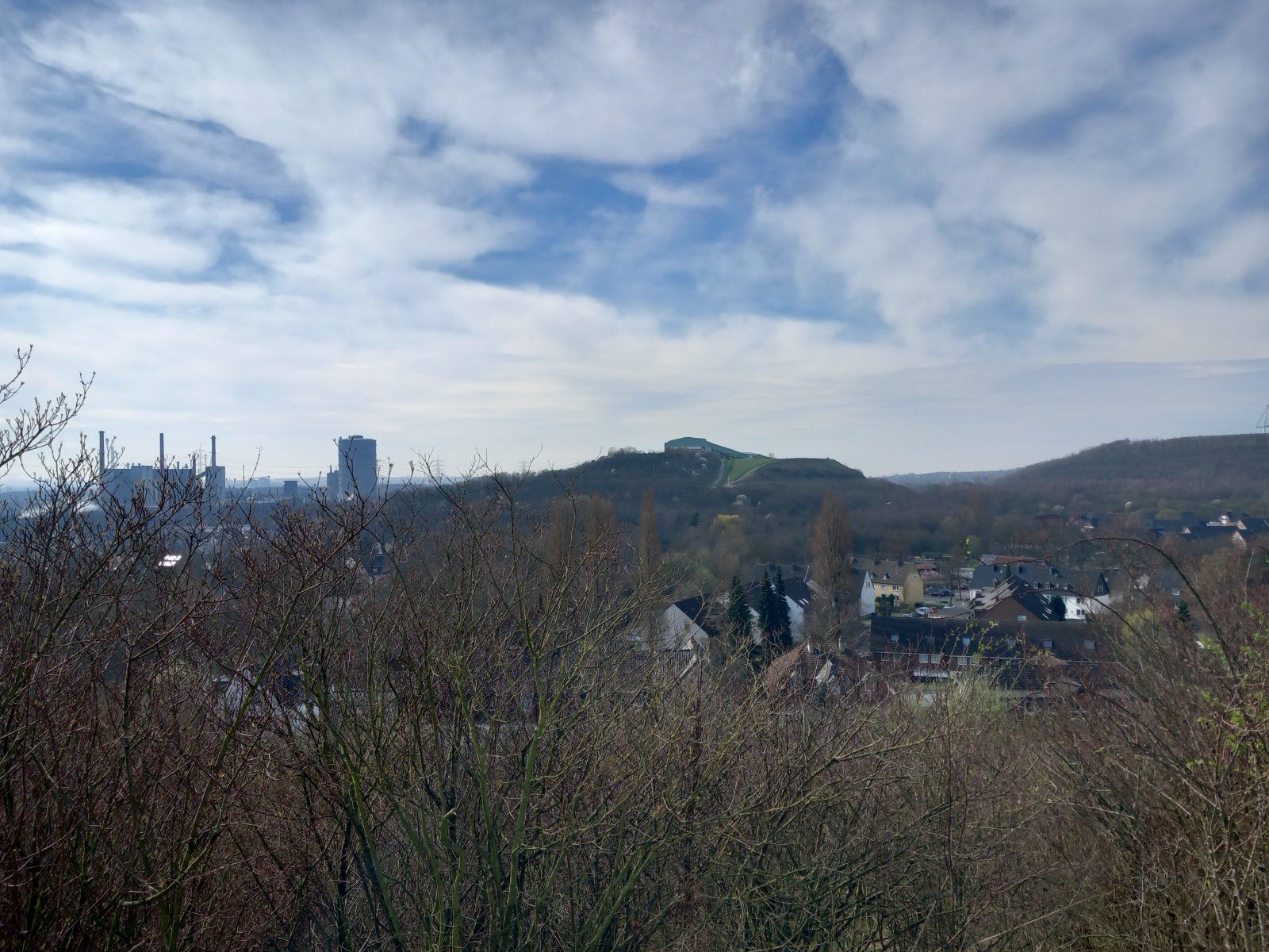 20240310_113302.jpg