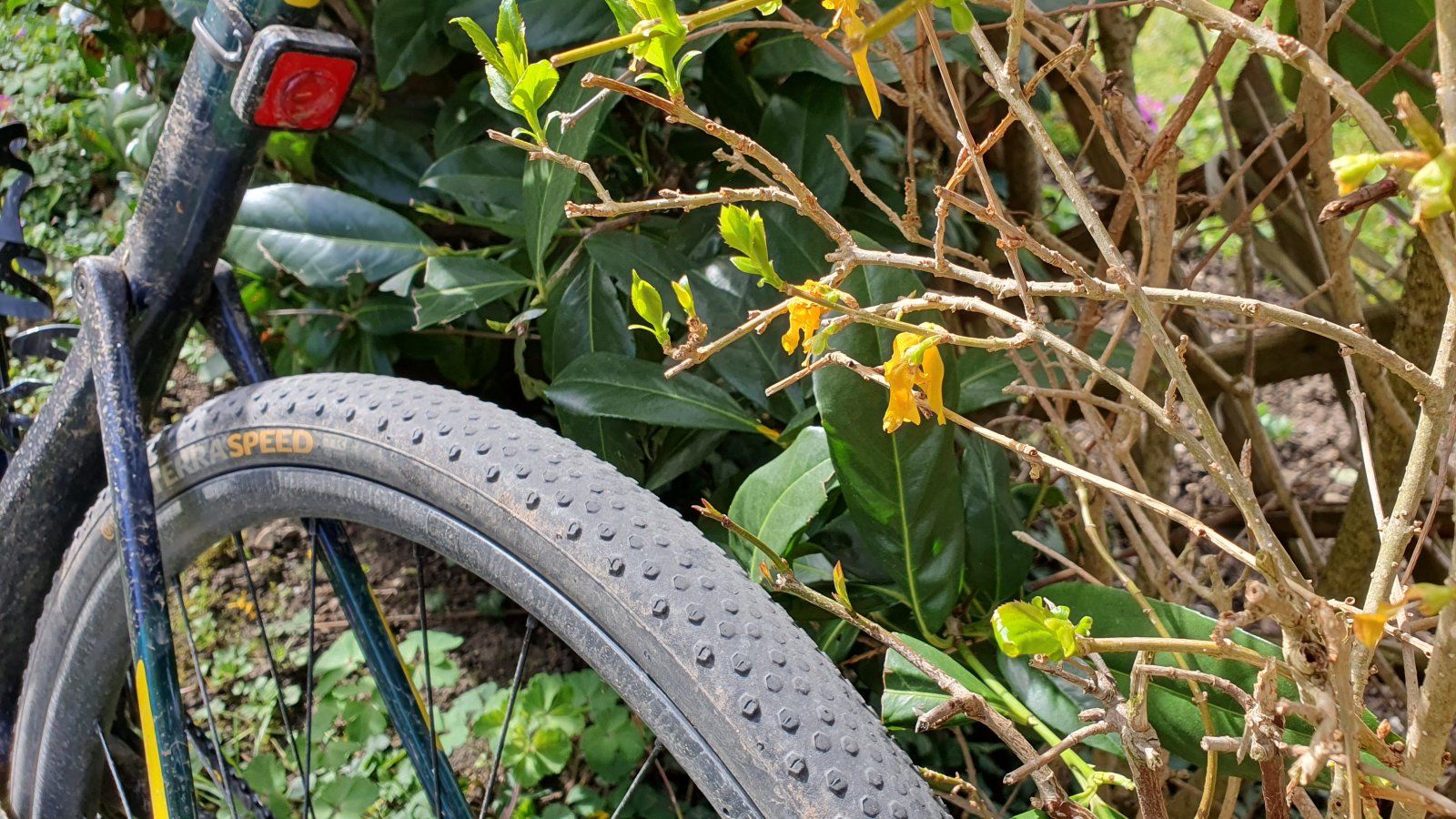 20240326_TSpeed_1700.jpg