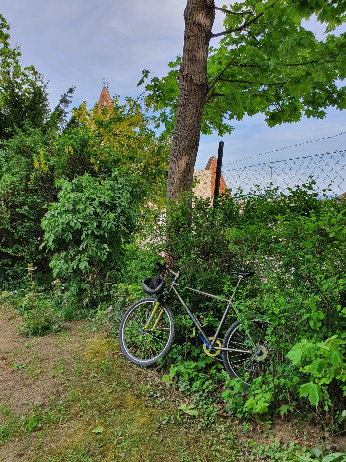 20240414_151917.jpg