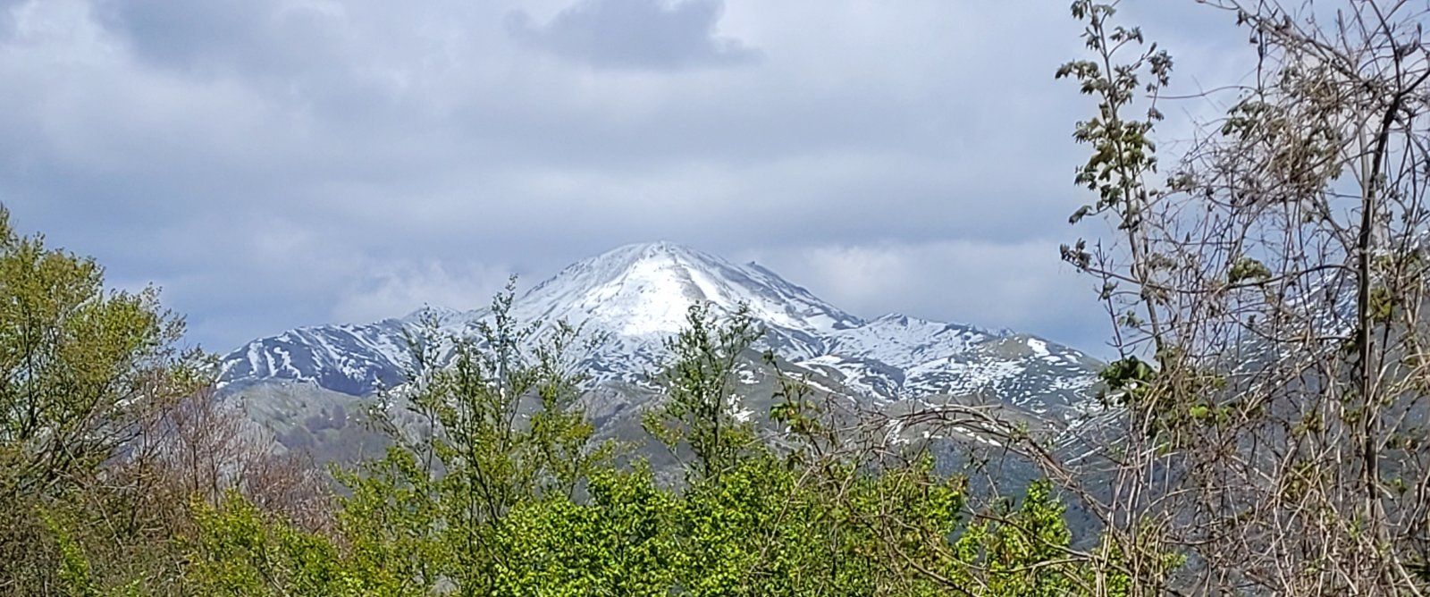 20240427_120334.jpg
