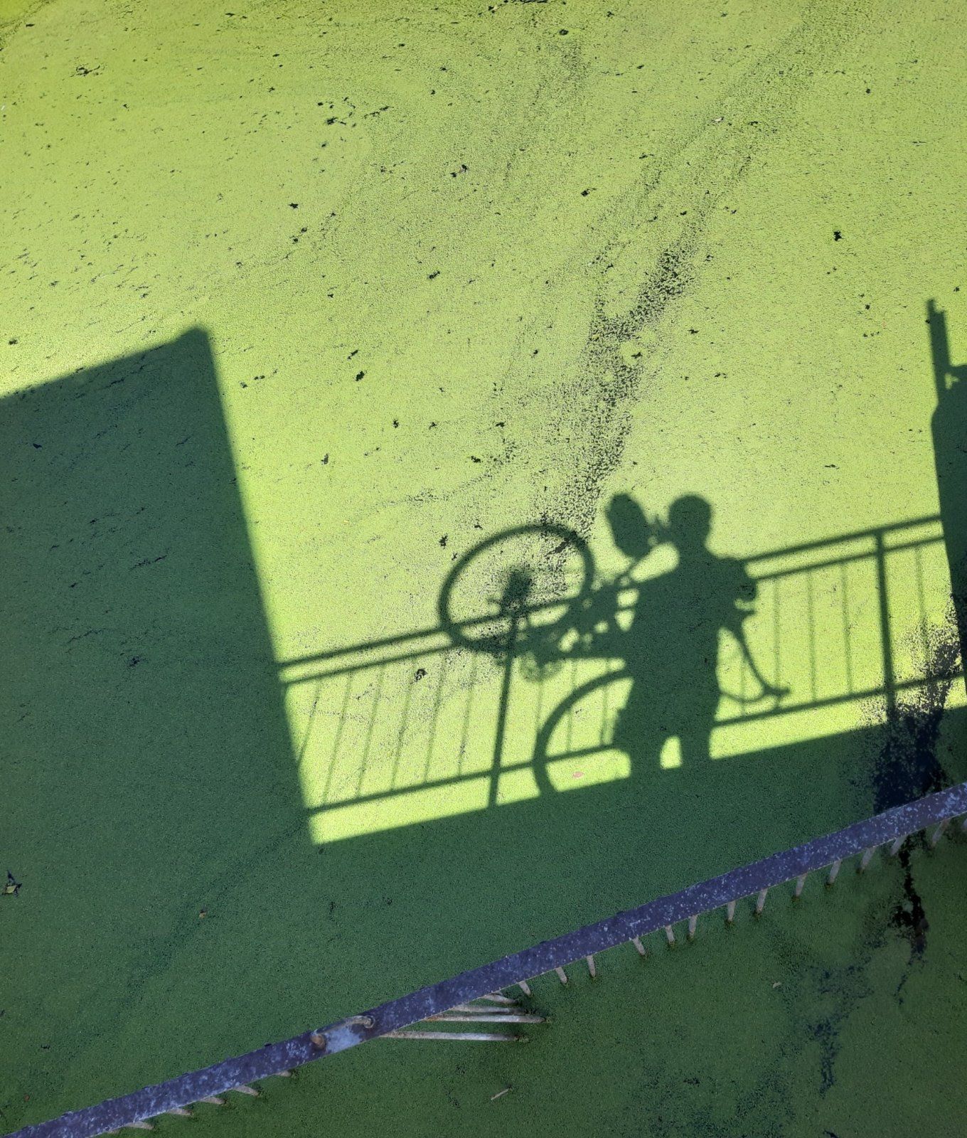 20240706_121526.jpg