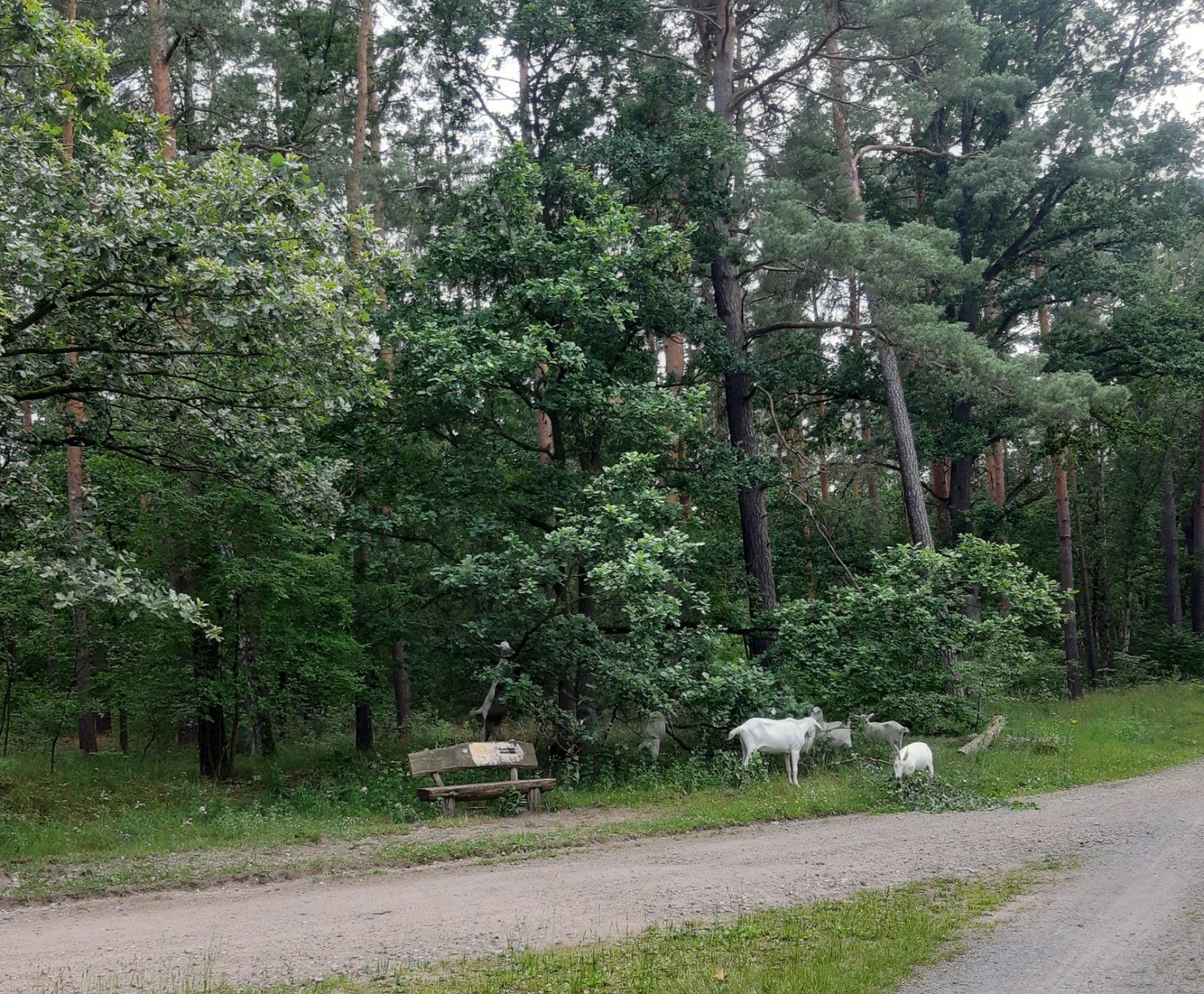 20240707_191616.jpg
