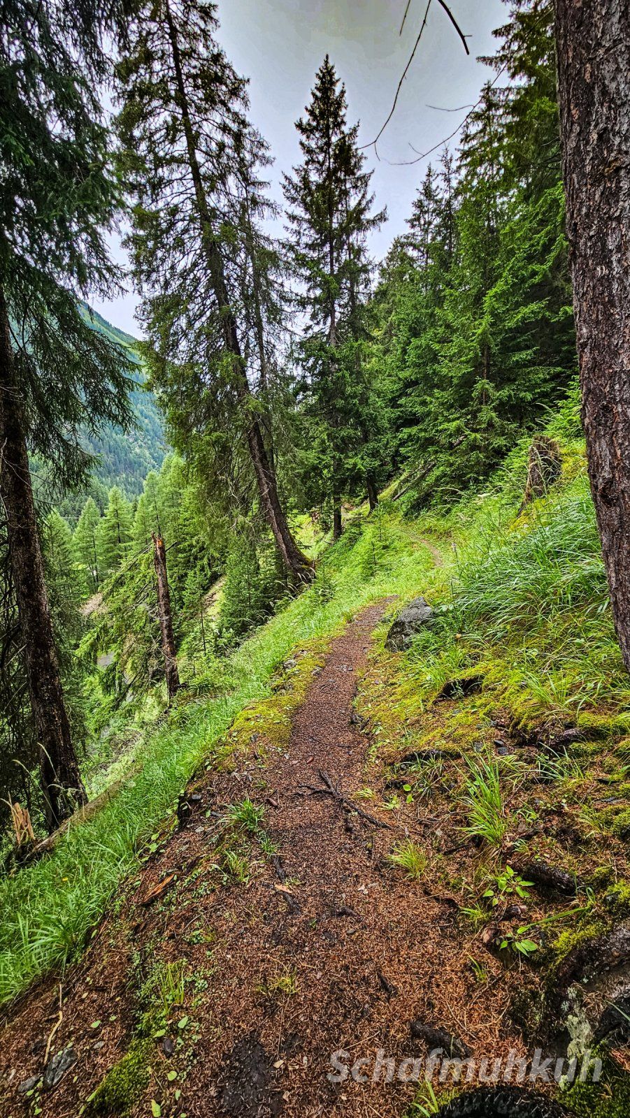 20240712_132207.jpg 20240712_132207.jpg