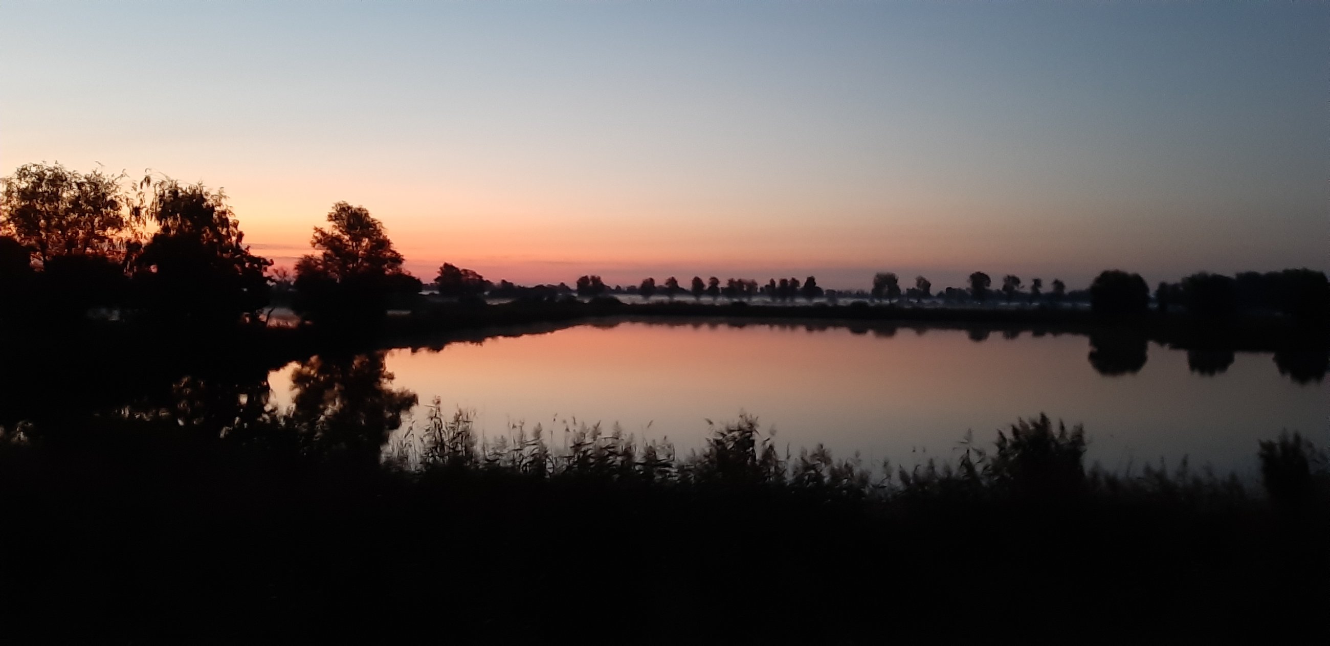 20240827_053317.jpg