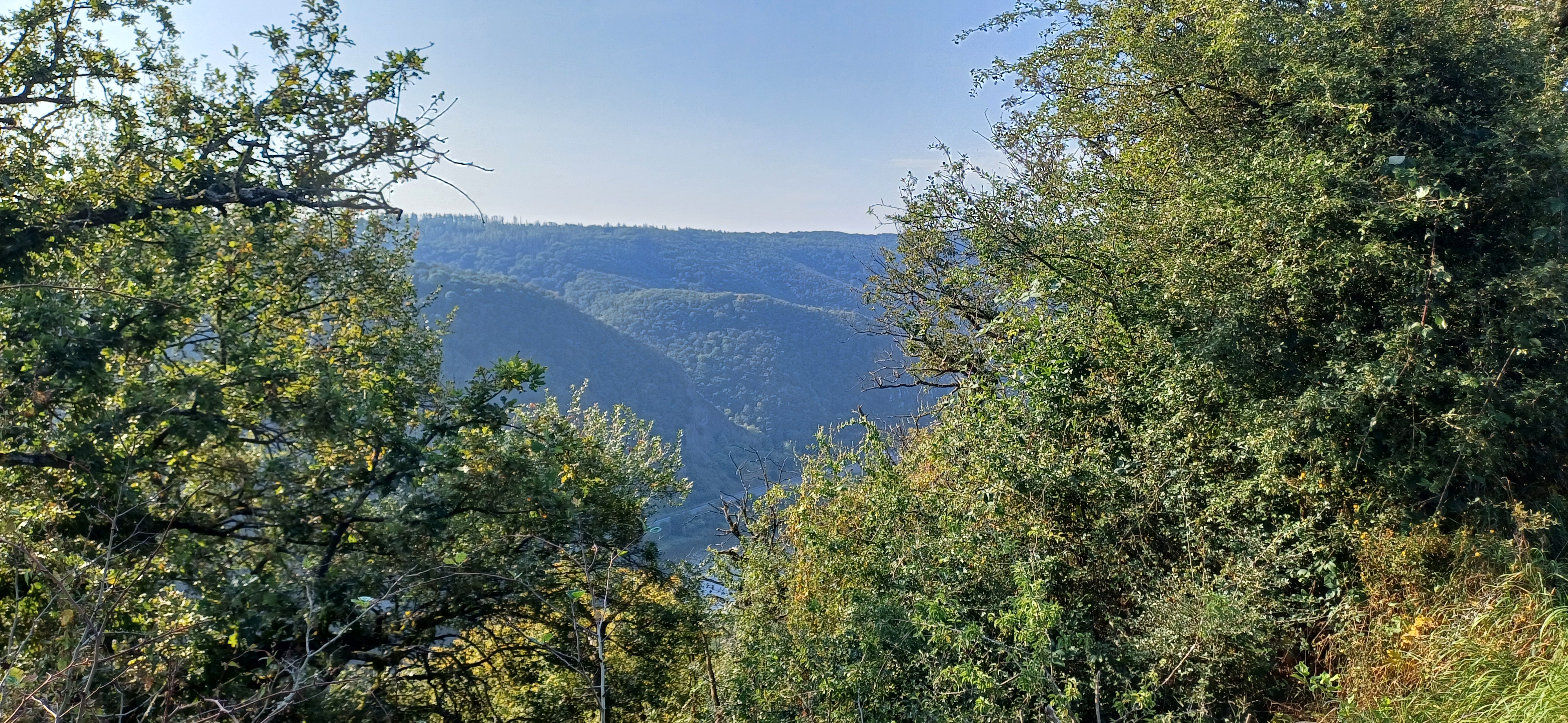 20240901_093702.jpg