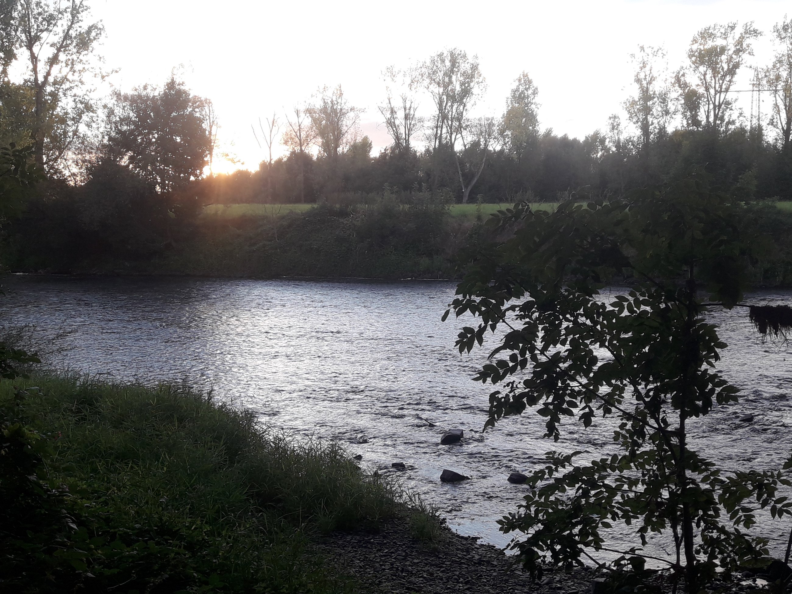 20240908_194011.jpg