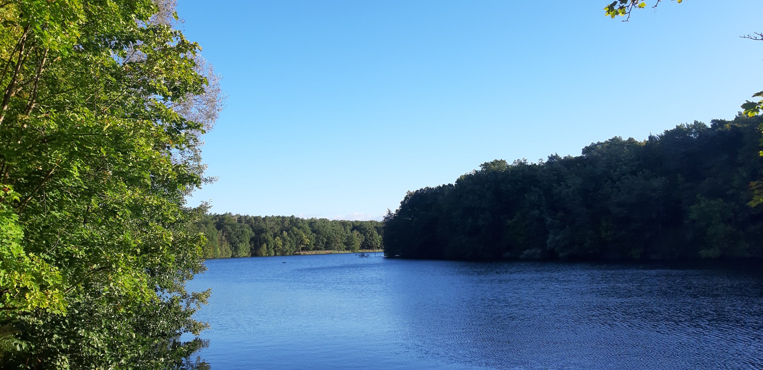 20240927_083434.jpg
