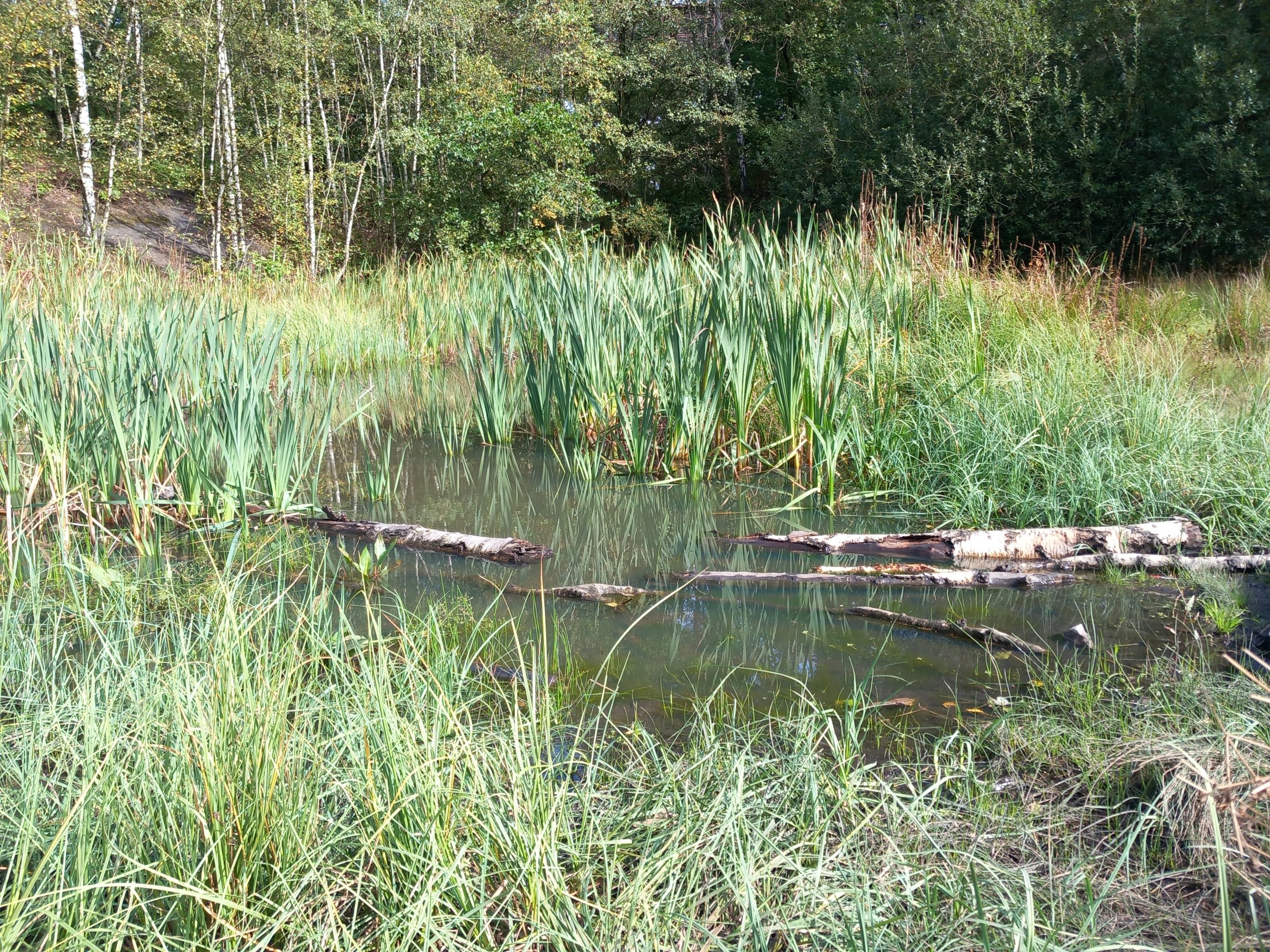 20240929_132800.jpg