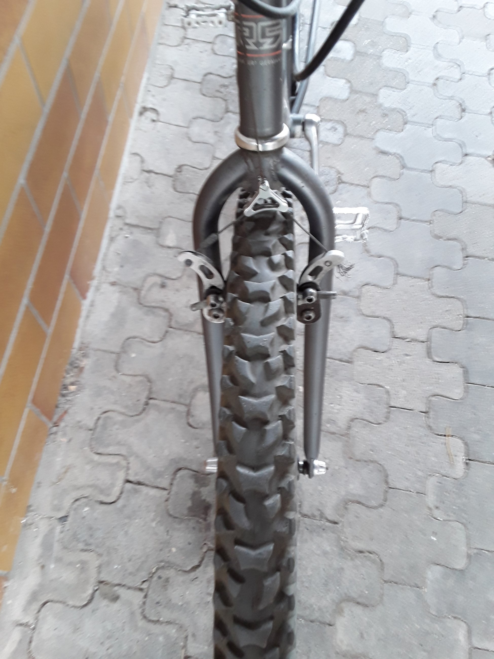 20240929_172451.jpg
