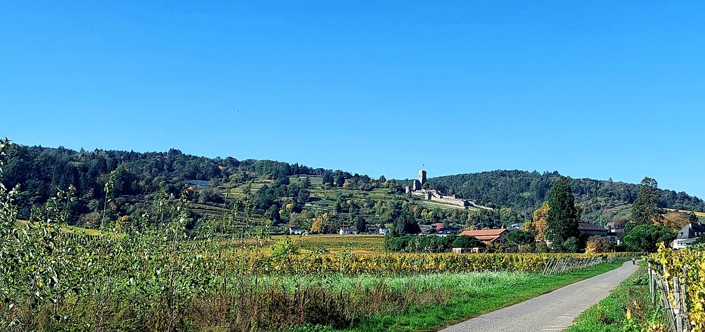 20241025_122123.jpg