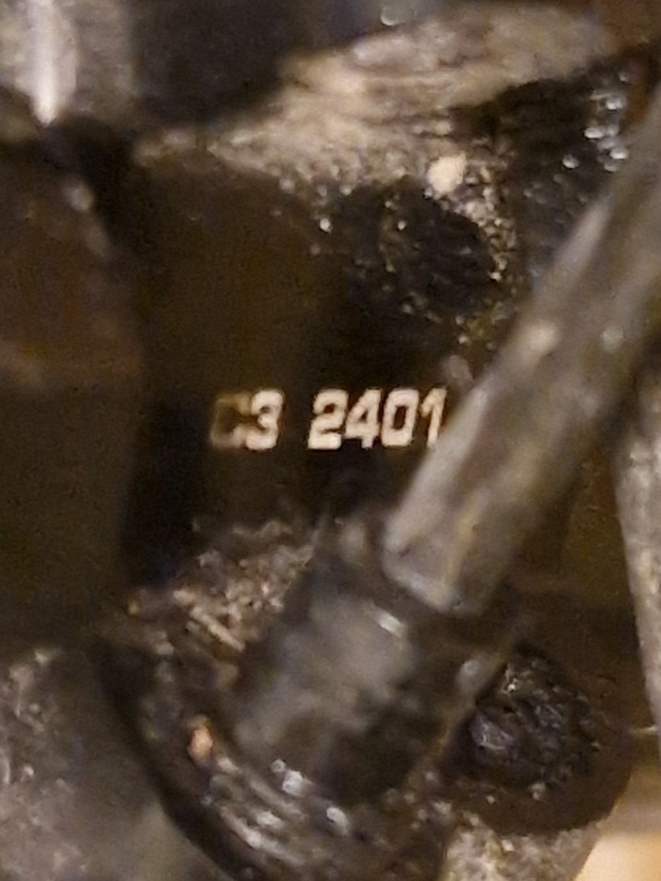 20241101_194321.jpg