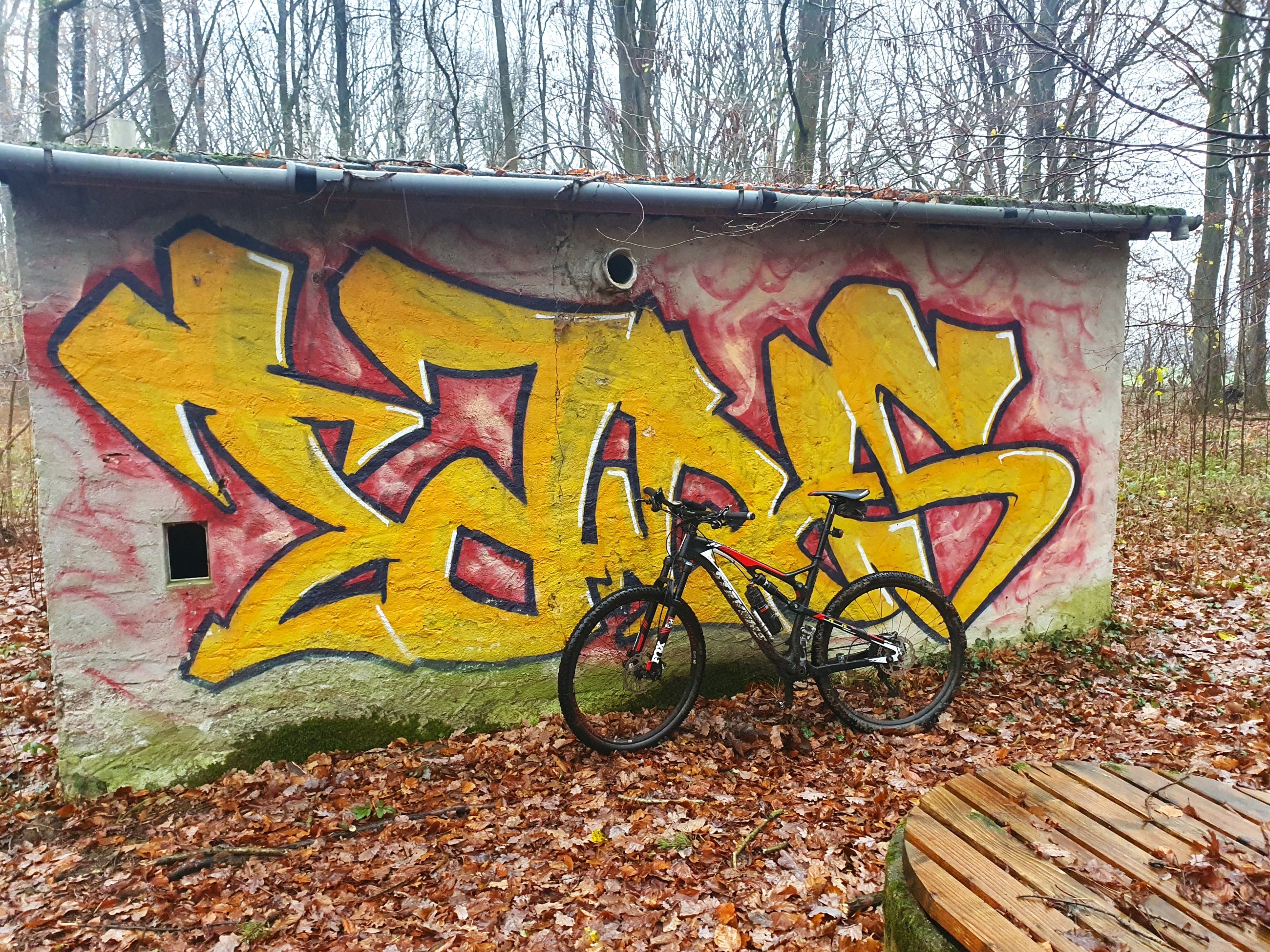 20241204_140308.jpg