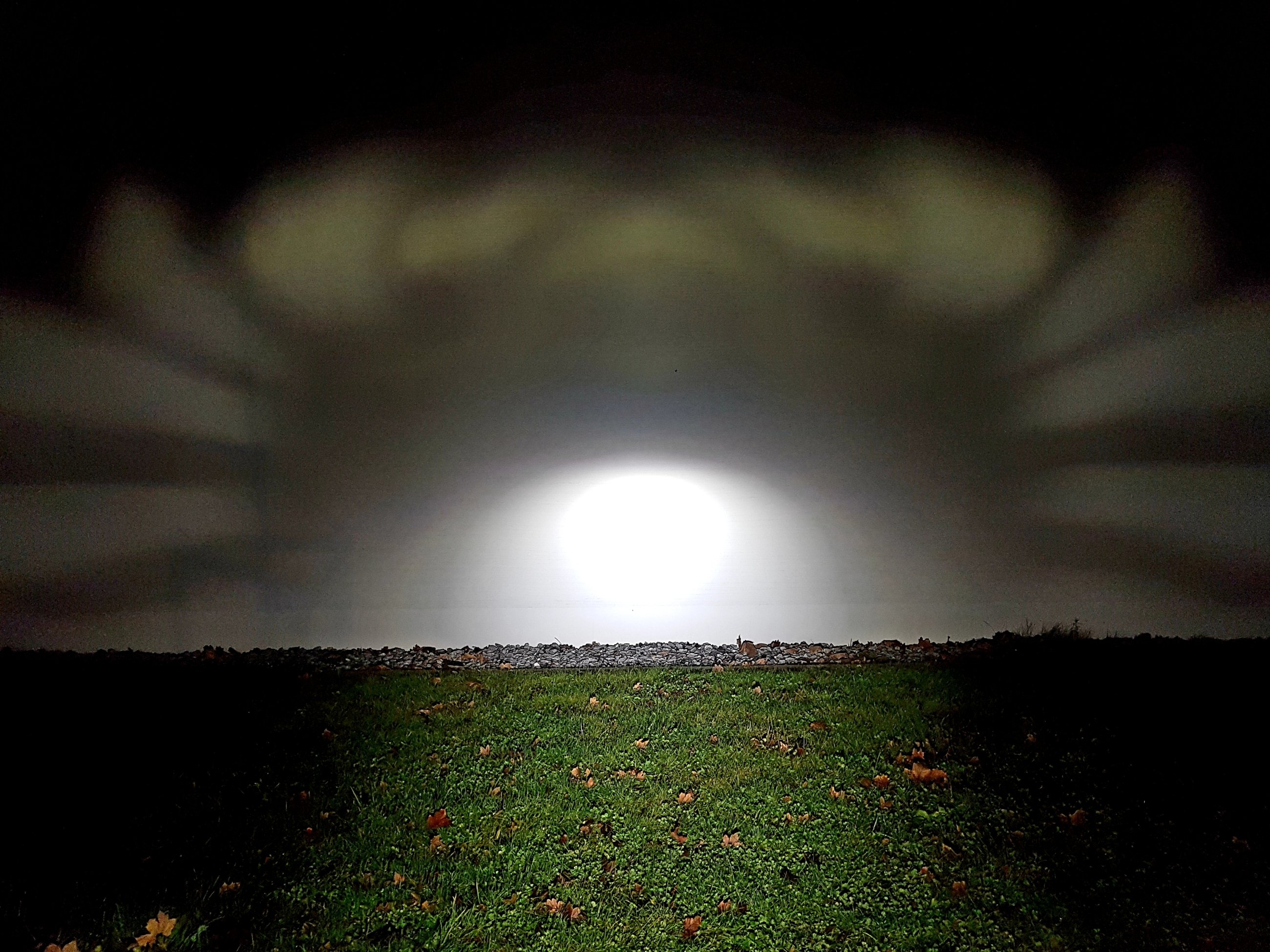 20241207_042102.jpg