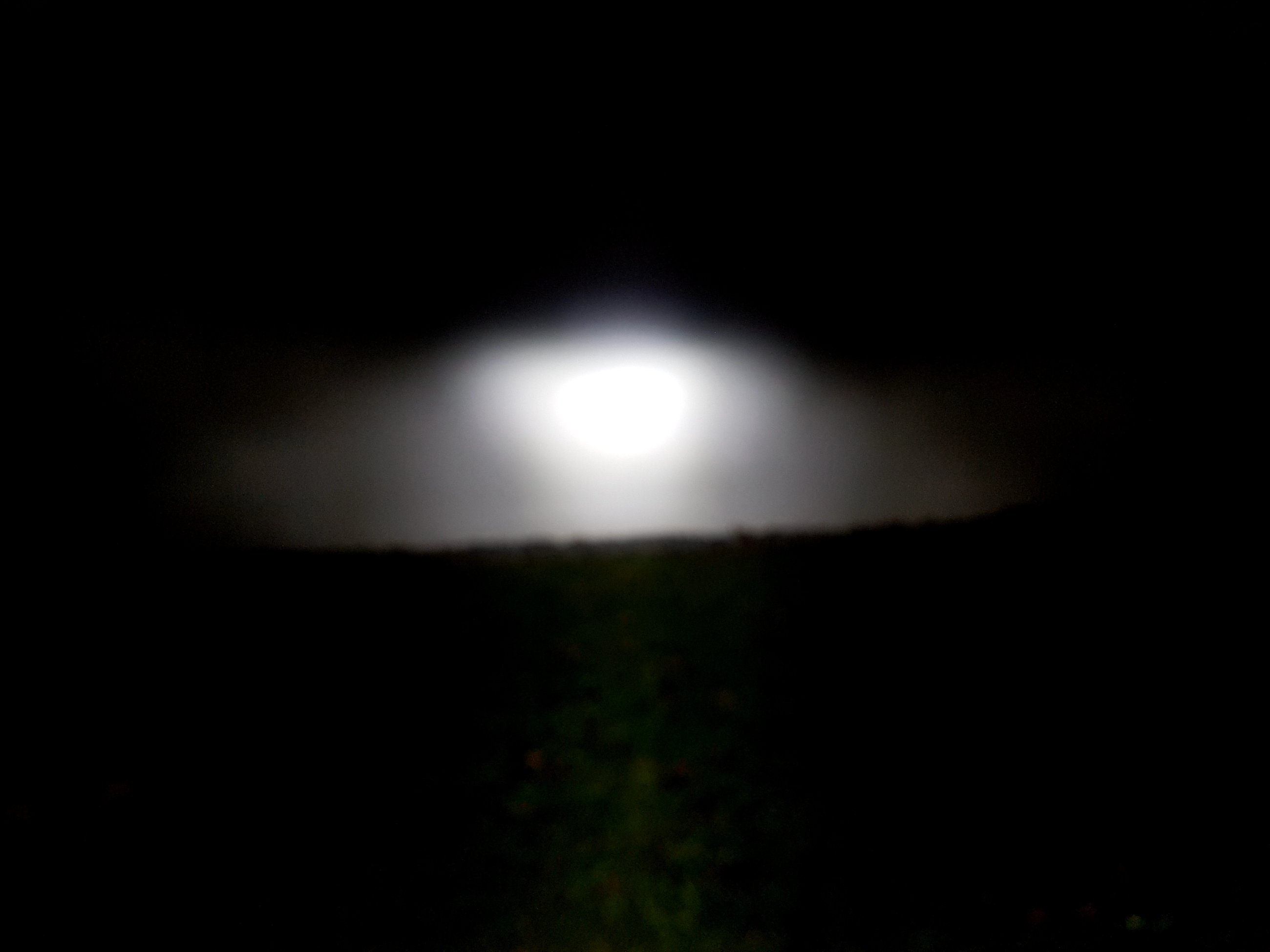 20241207_042228.jpg