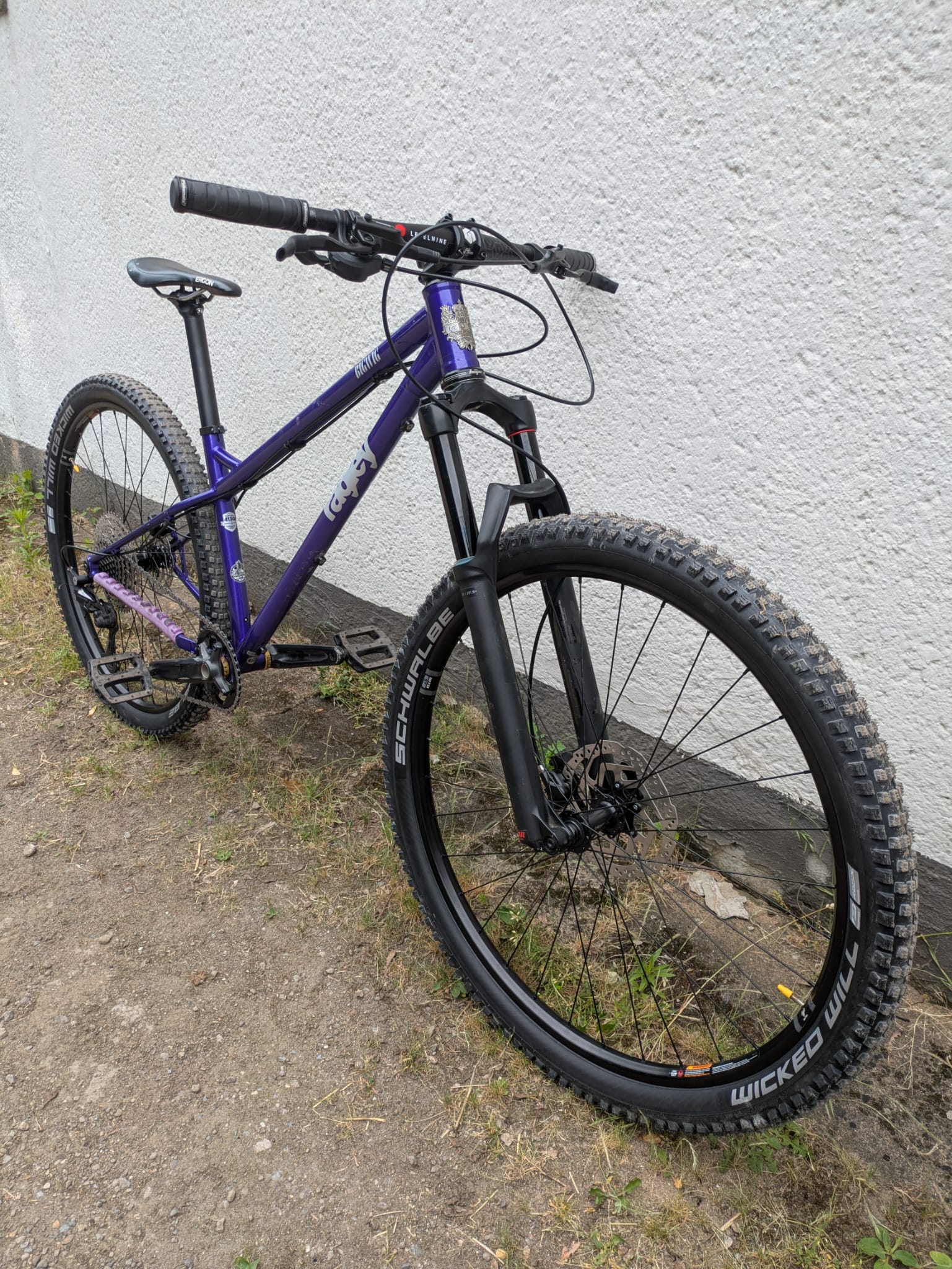 2025-07-05 Marcels Ragley Bigwig - Rebuilt.jpg