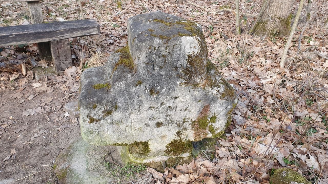 20250311_145606.jpg
