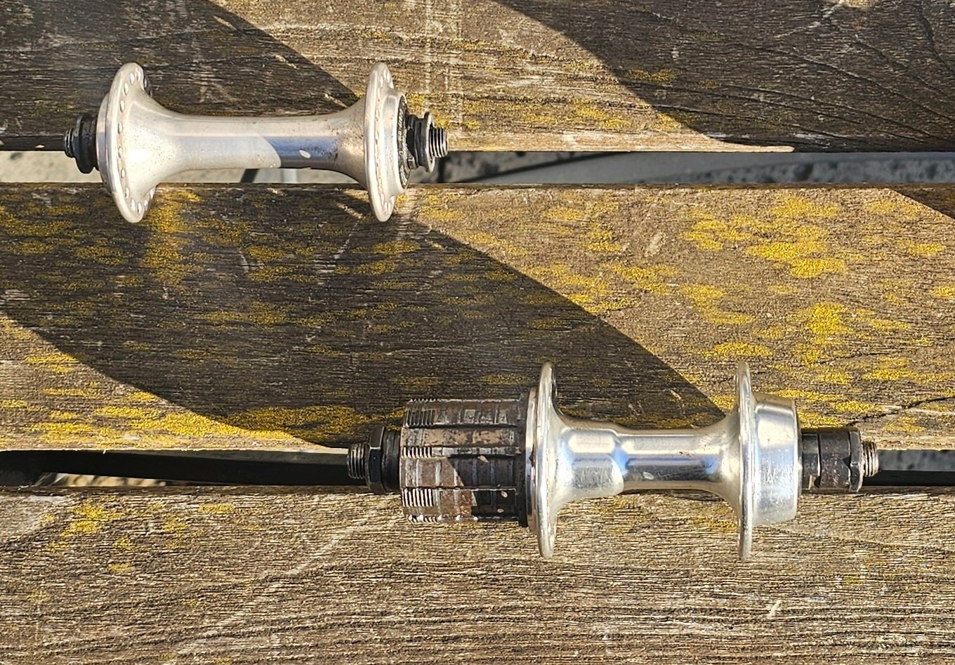 20250318_171033.jpg
