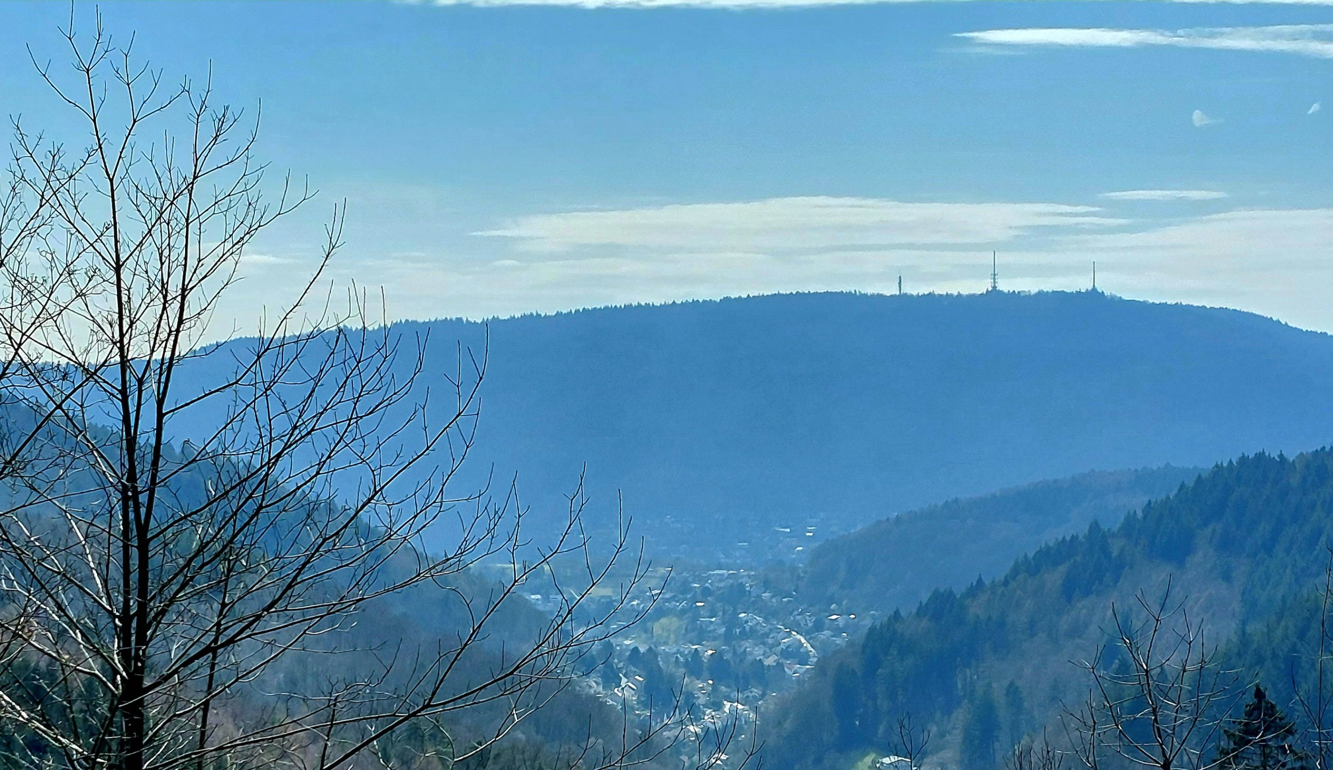 20250320_133912.jpg