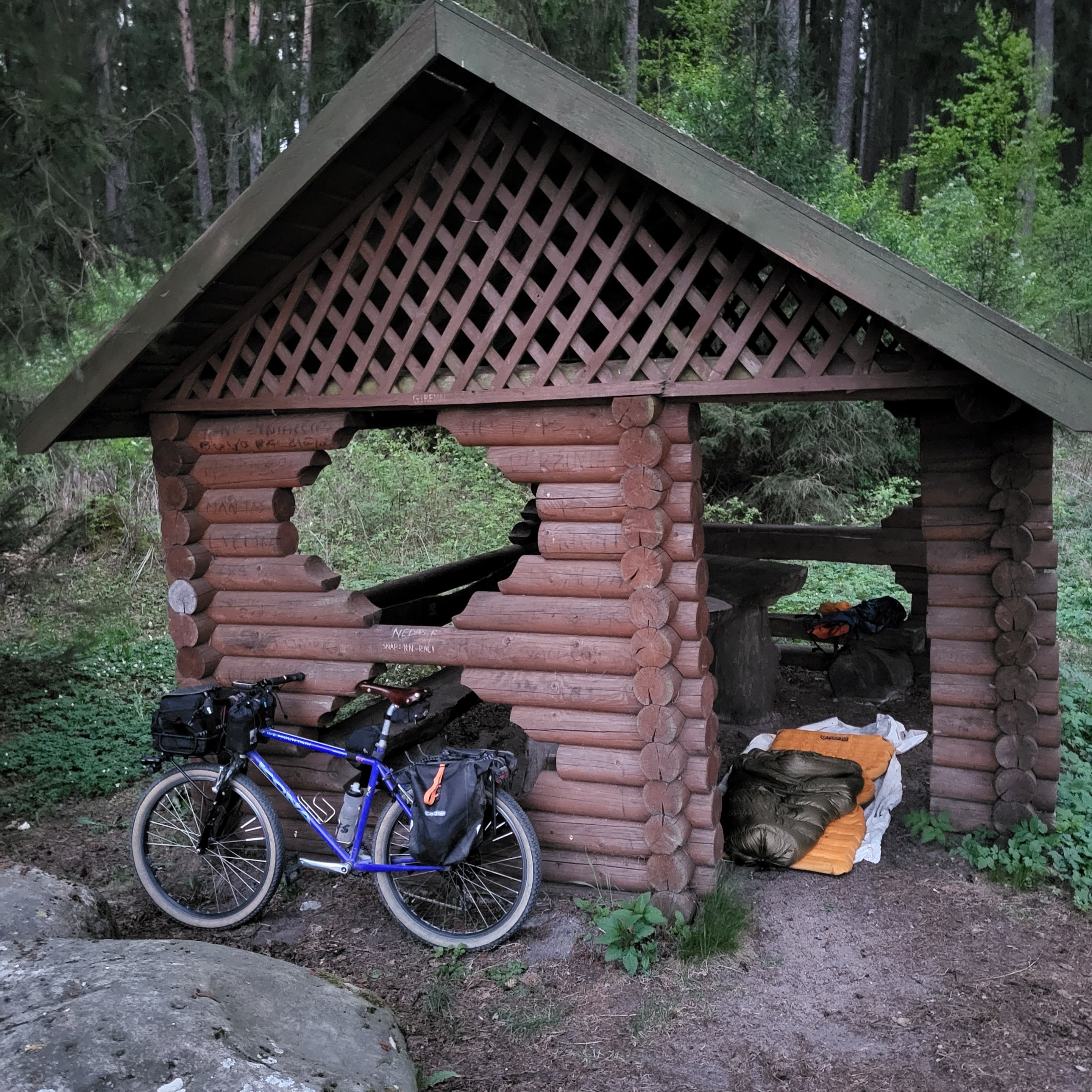 20250502_043432.jpg