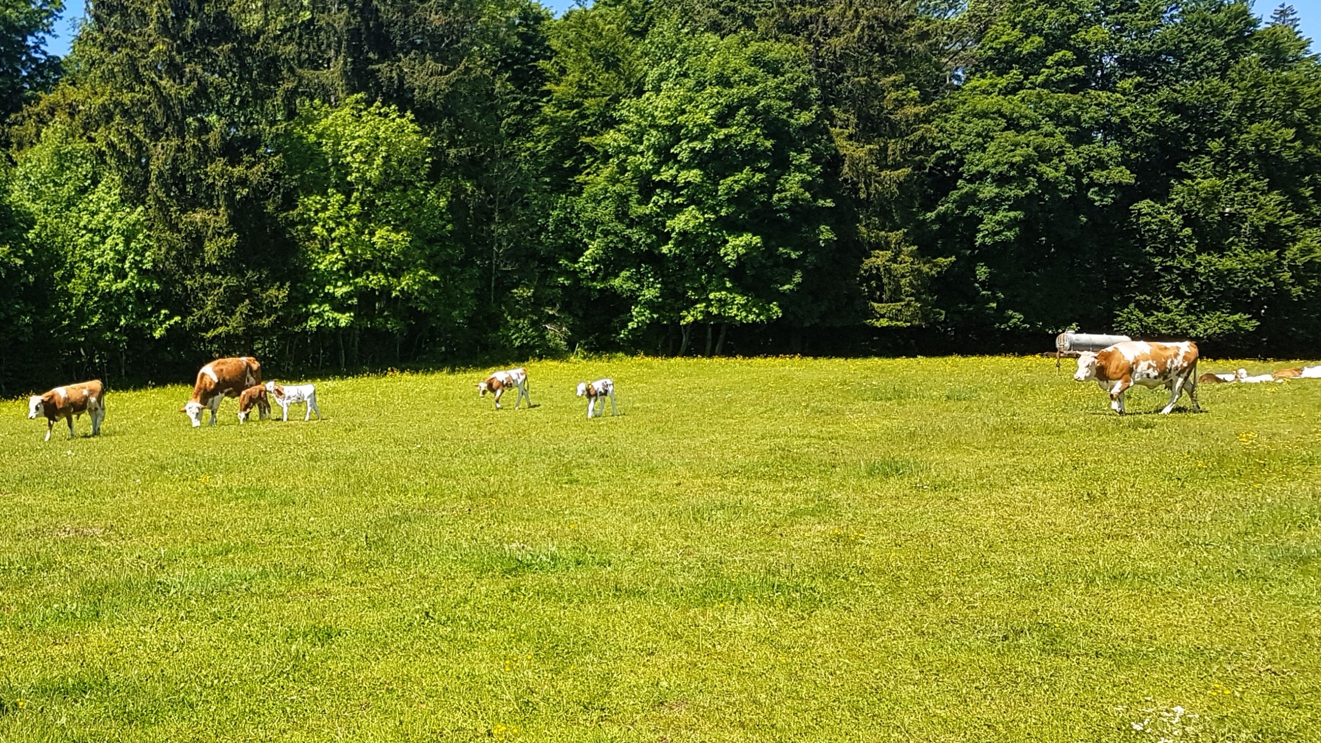 20250530_113118.jpg