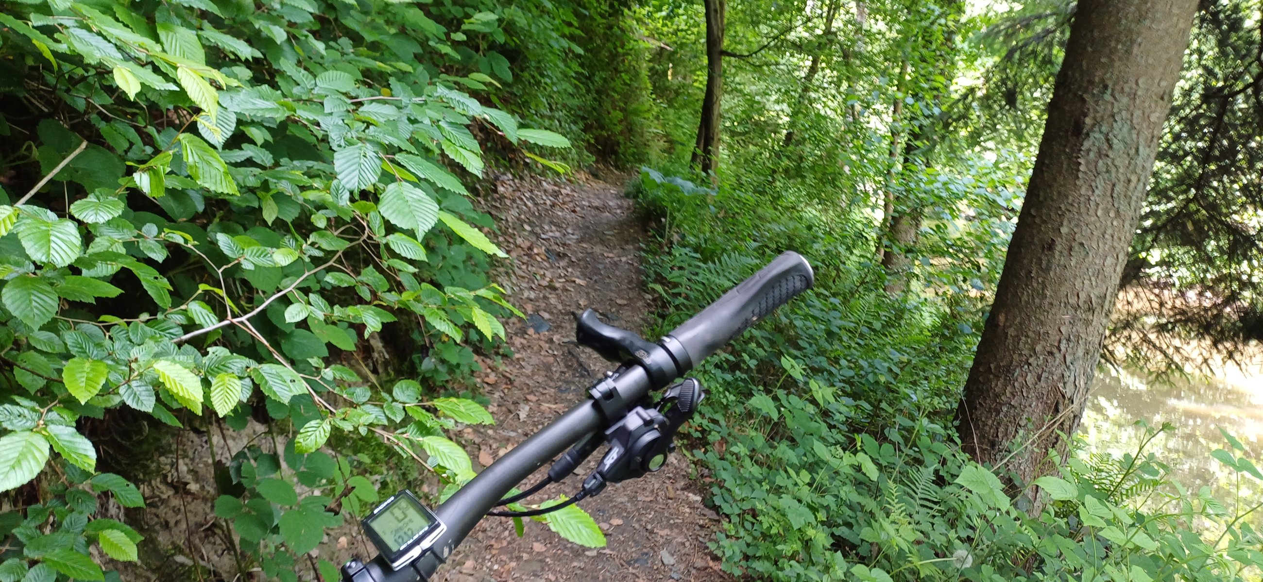 20250531_122820.jpg