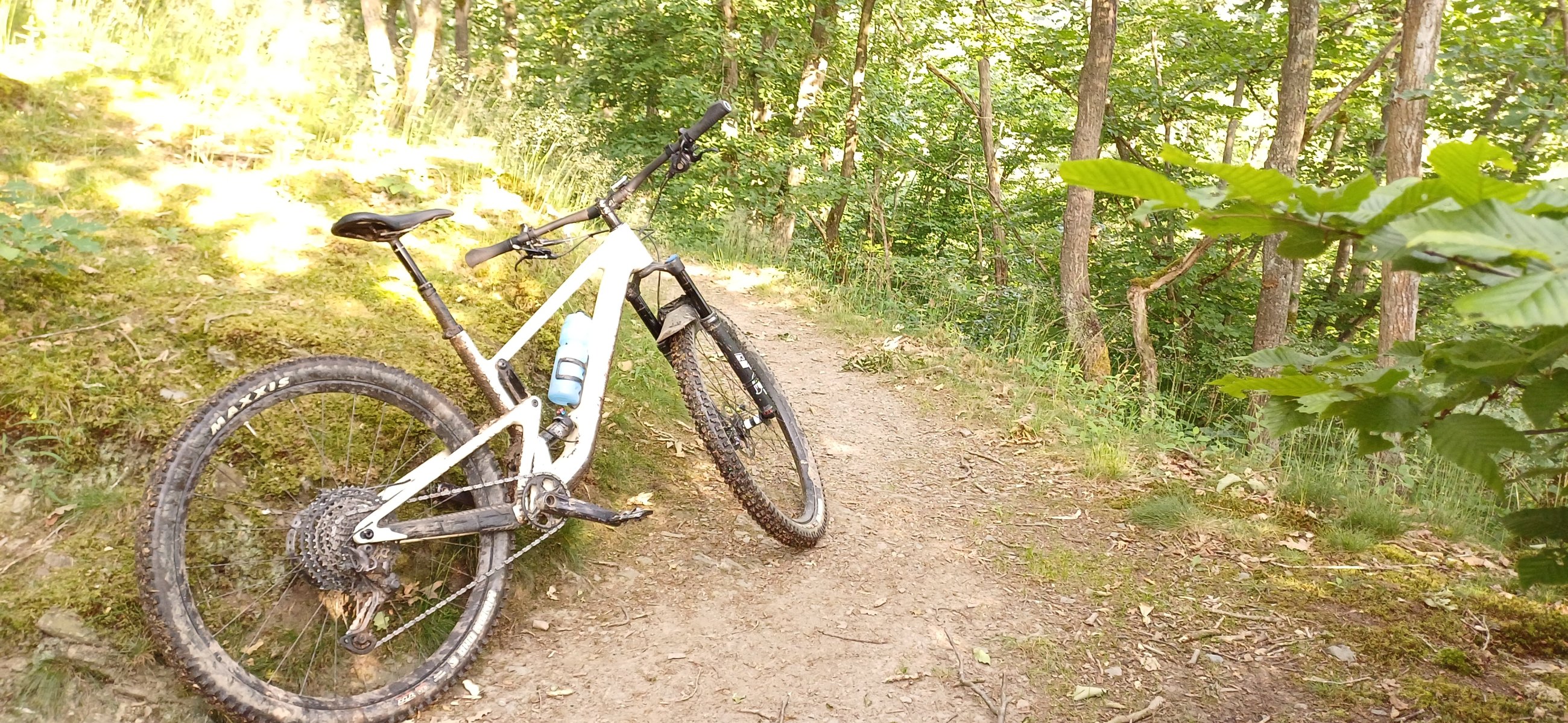 20250614_073958.jpg
