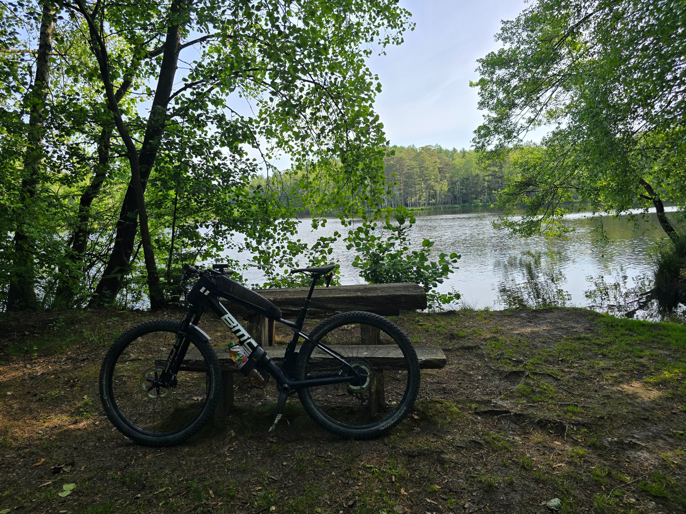 20250614_092429.jpg