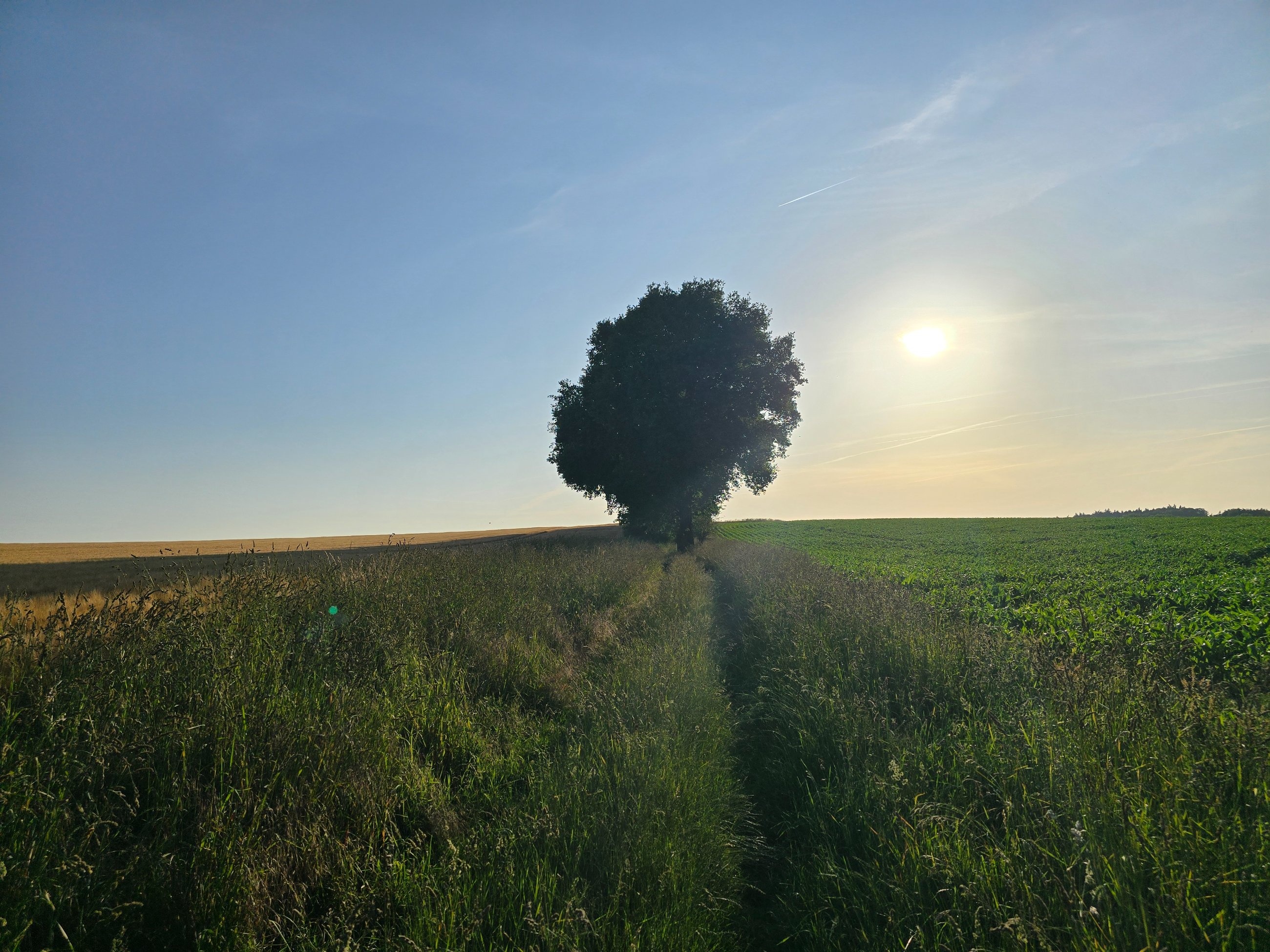 20250621_200620.jpg