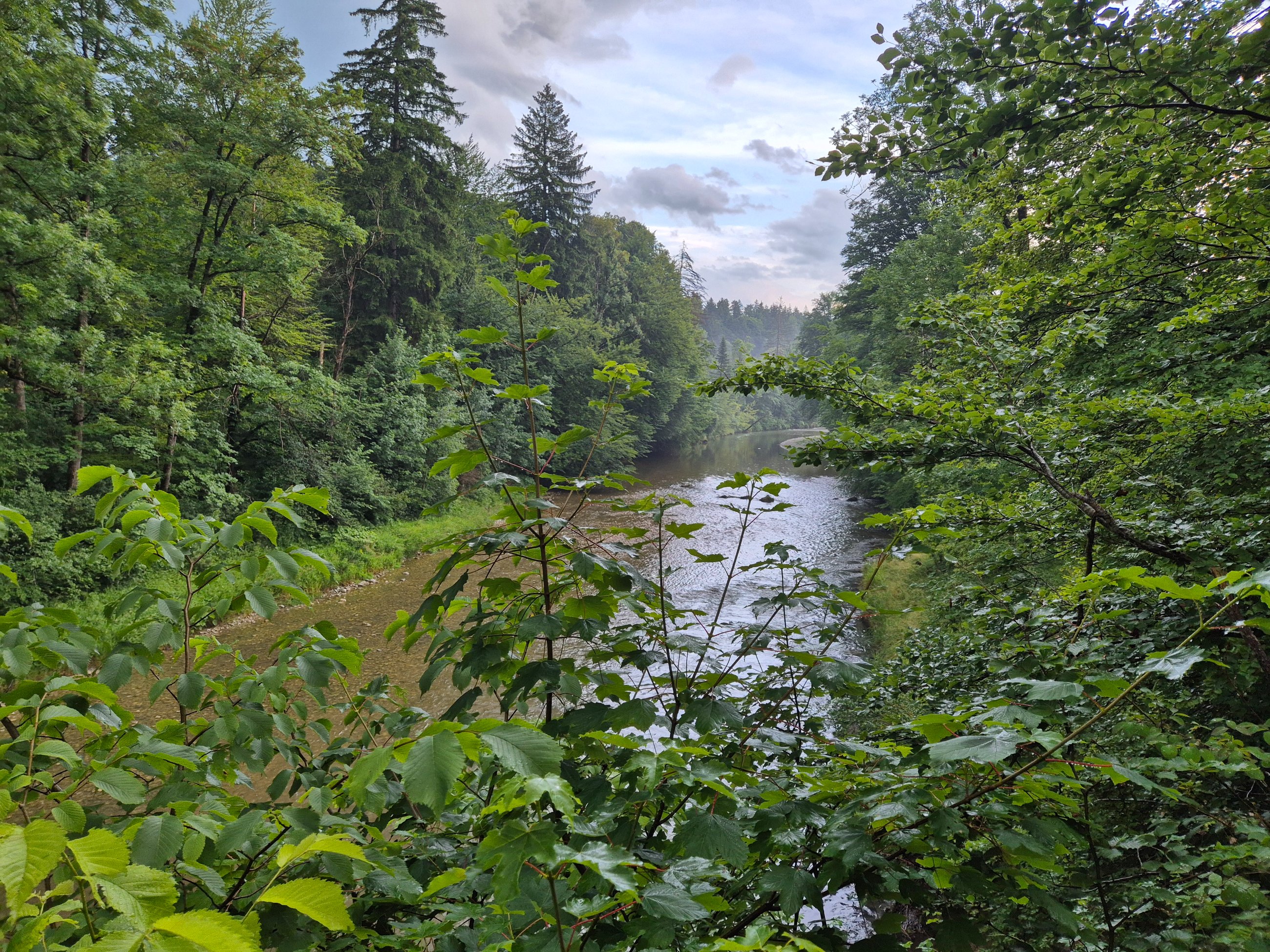20250623_201251.jpg