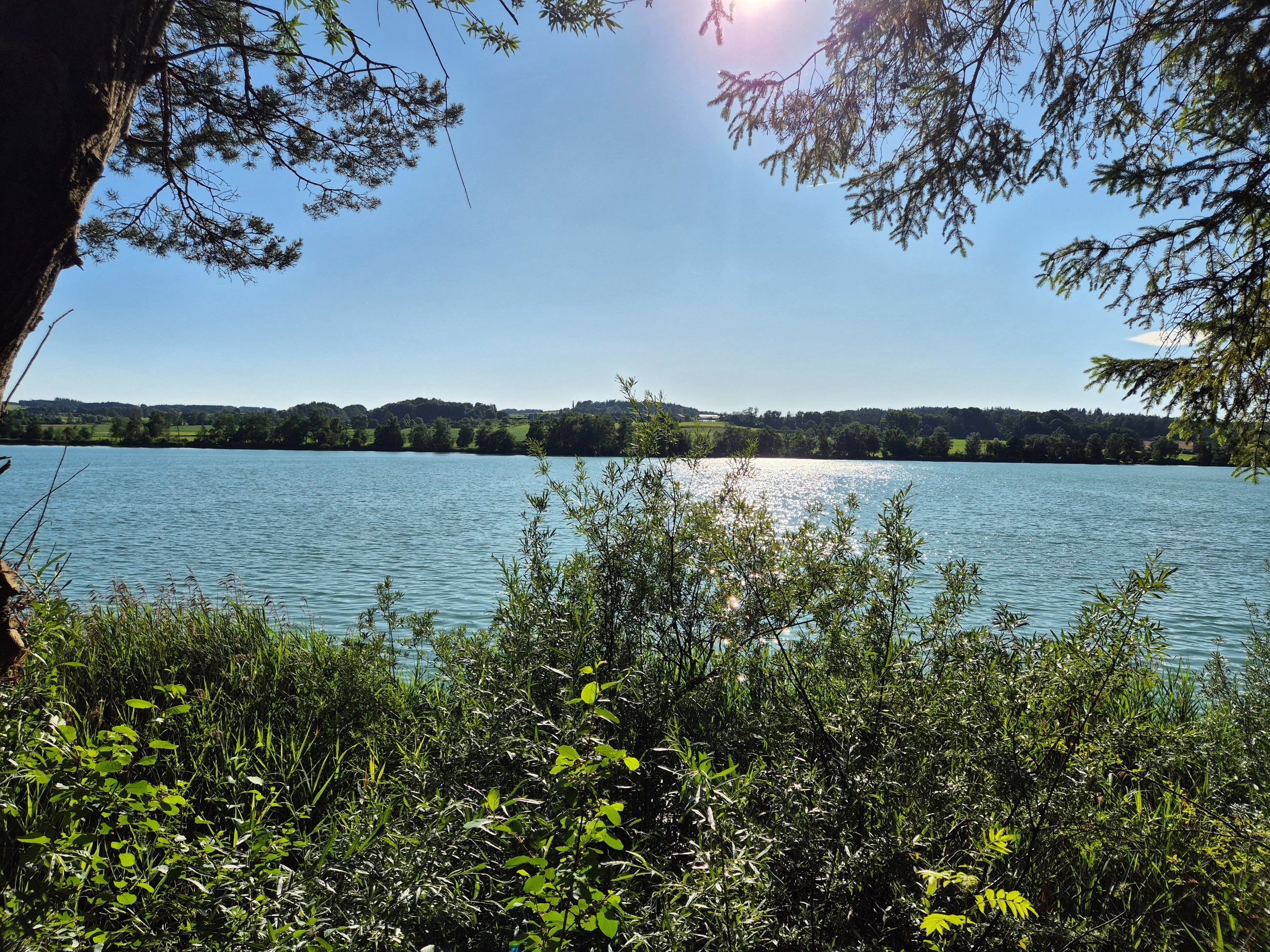 20250624_180523.jpg