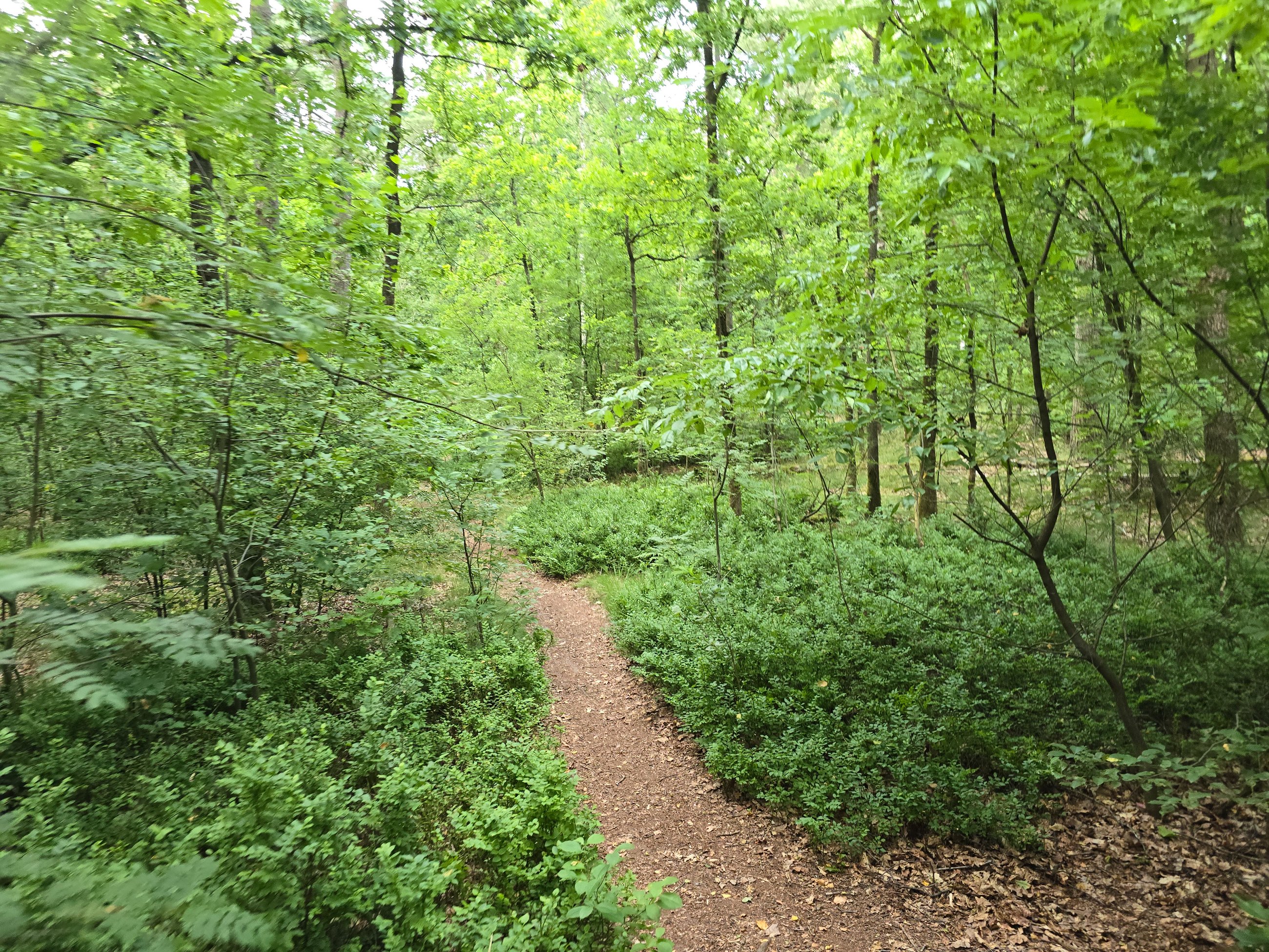 20250702_193007.jpg